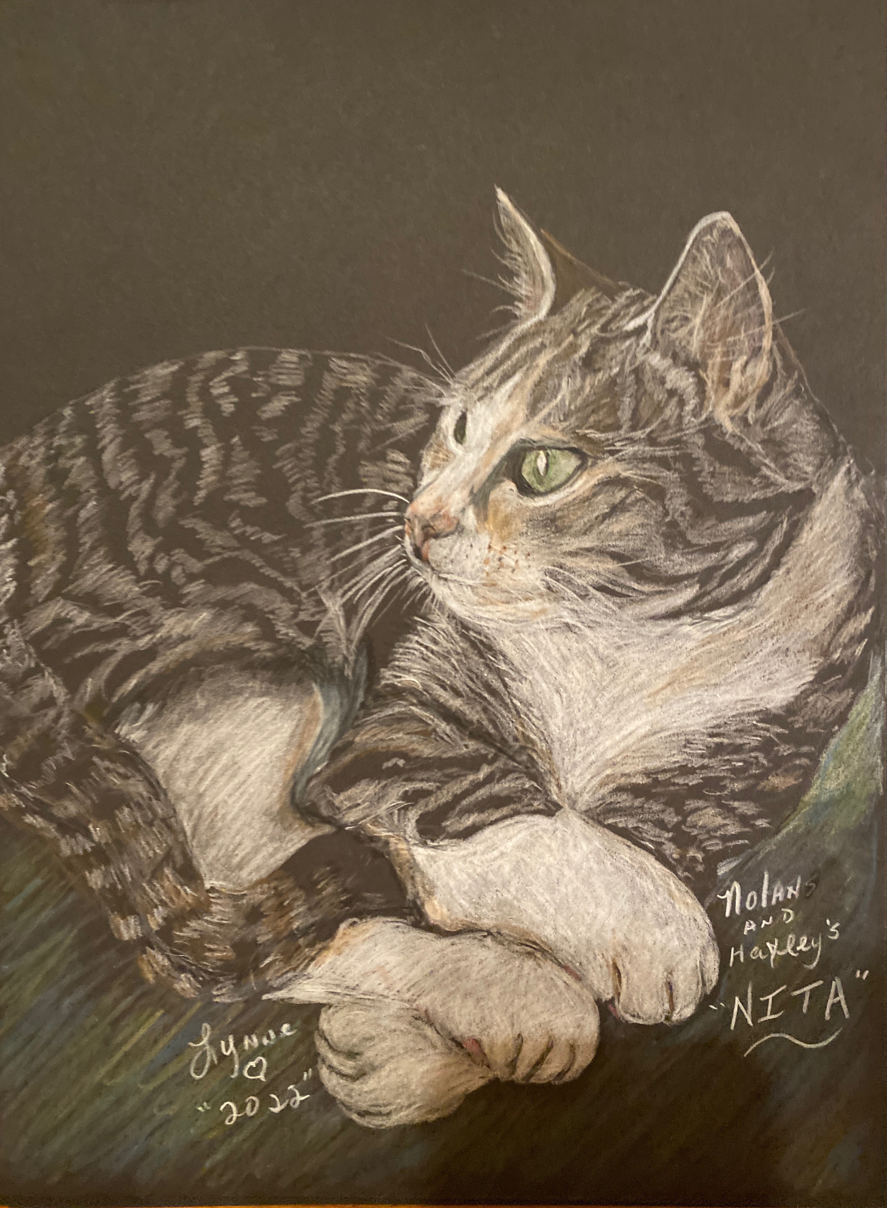 Pet portrait 2
