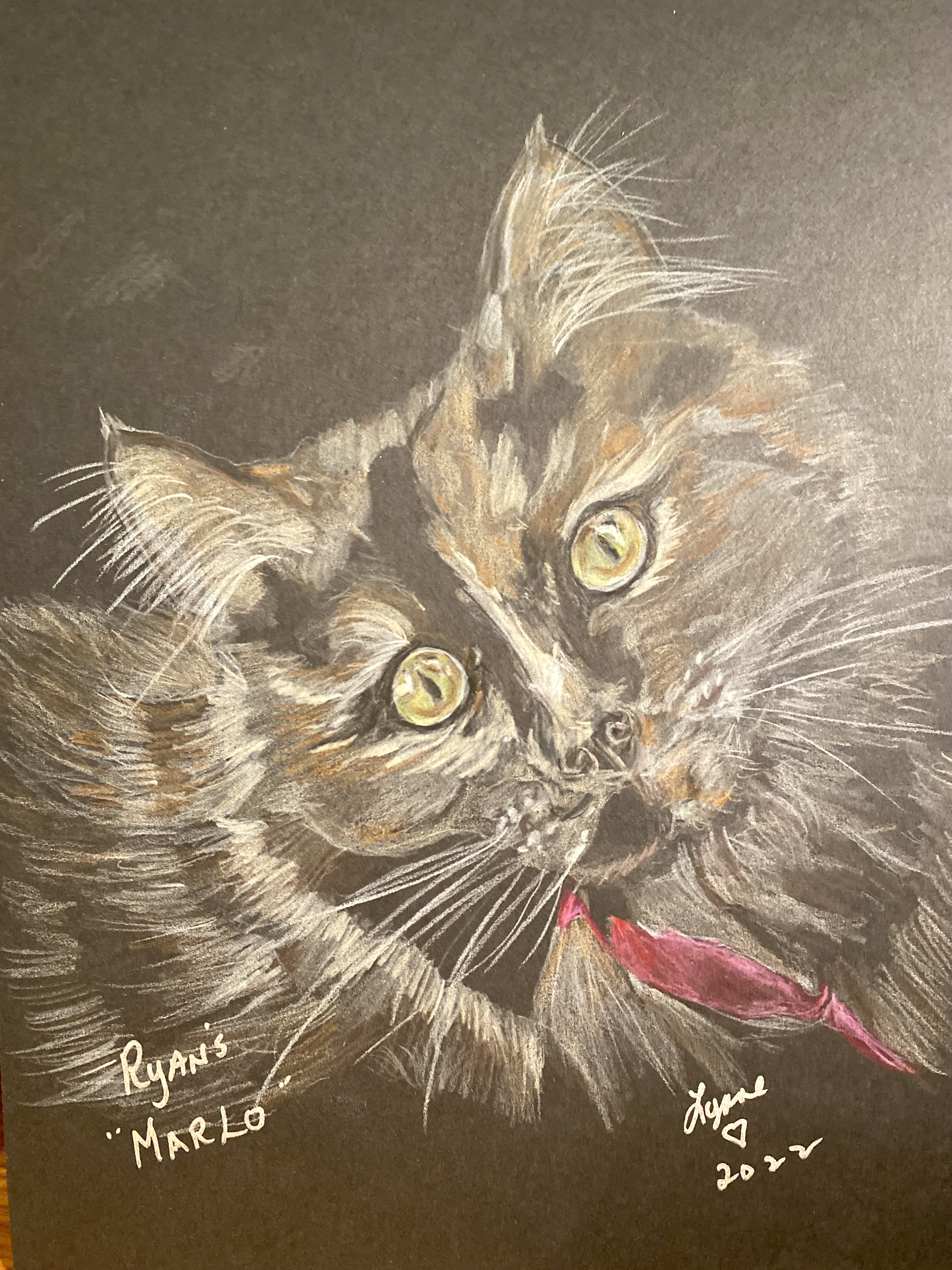 Pet portrait 3