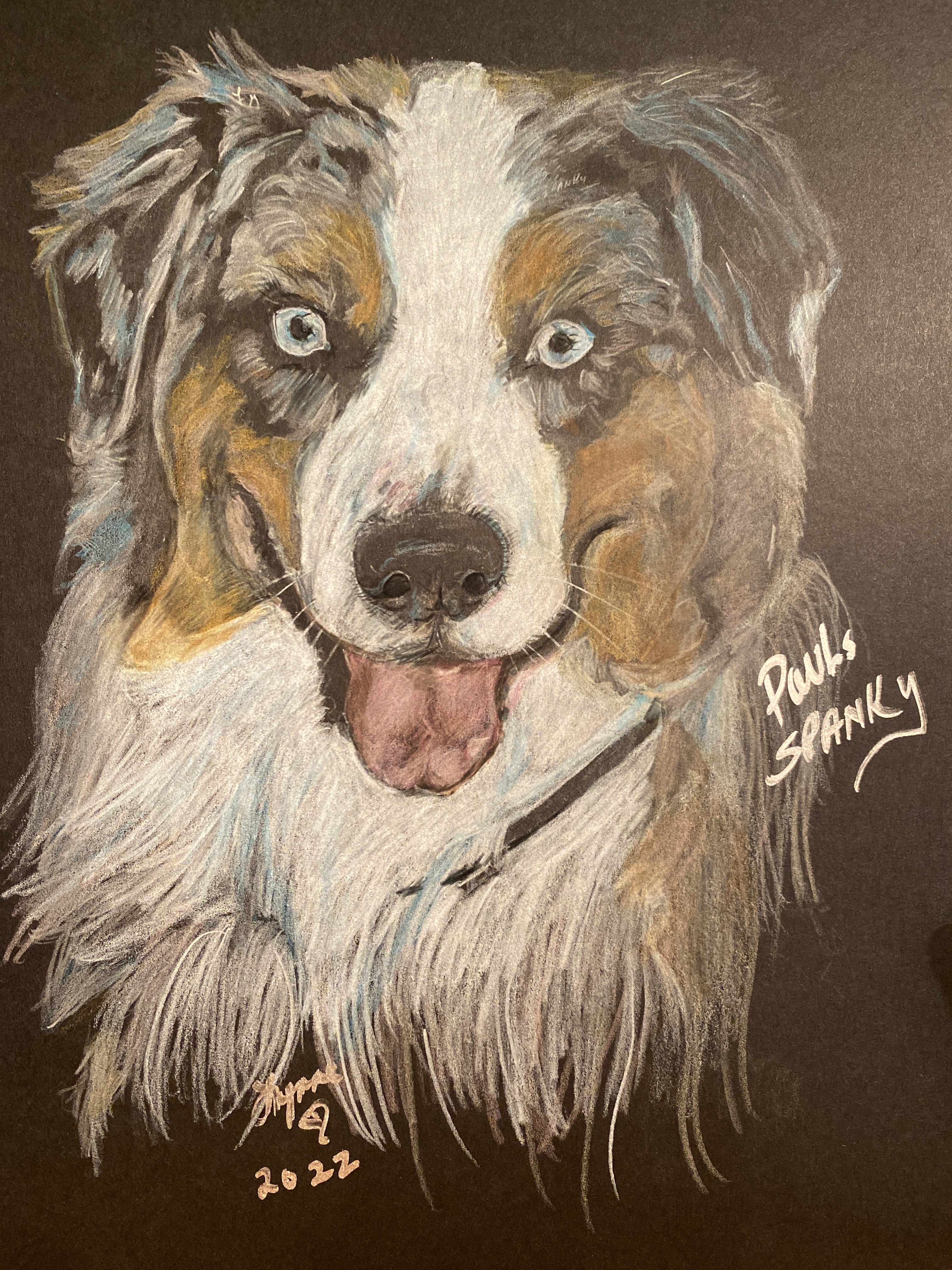 Pet portrait 4