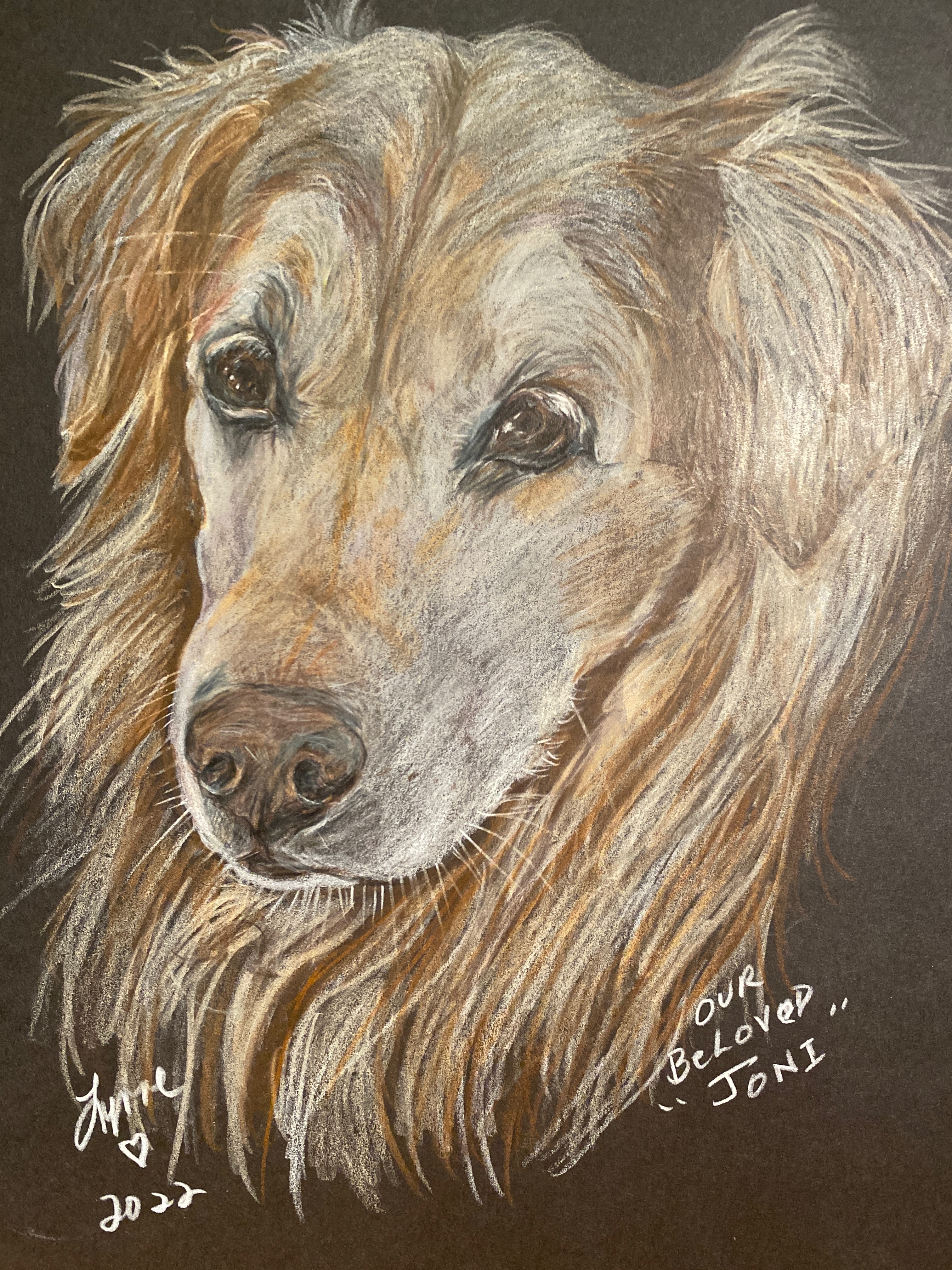 Pet portrait 5