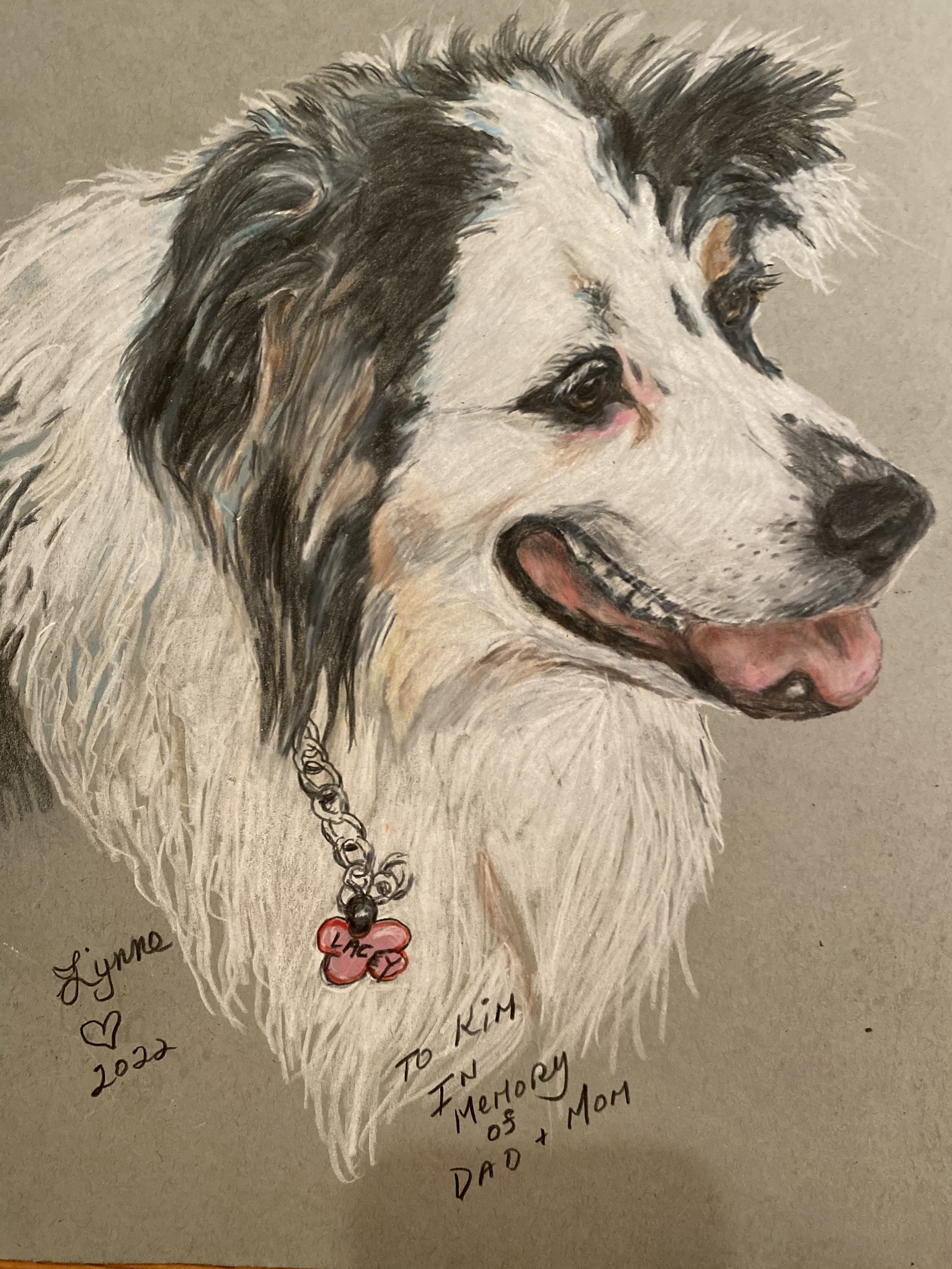Pet portrait 6