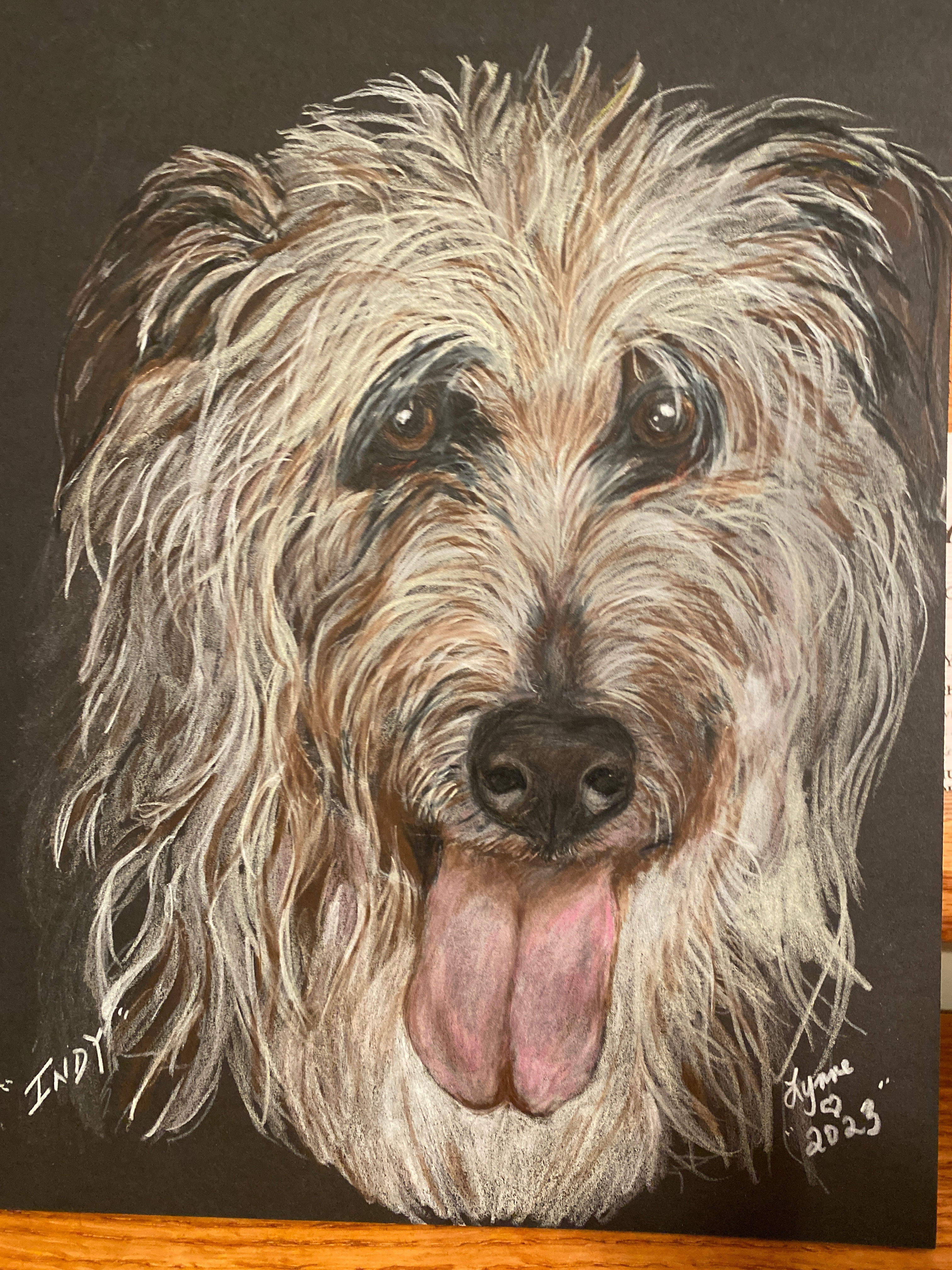 Pet portrait 8