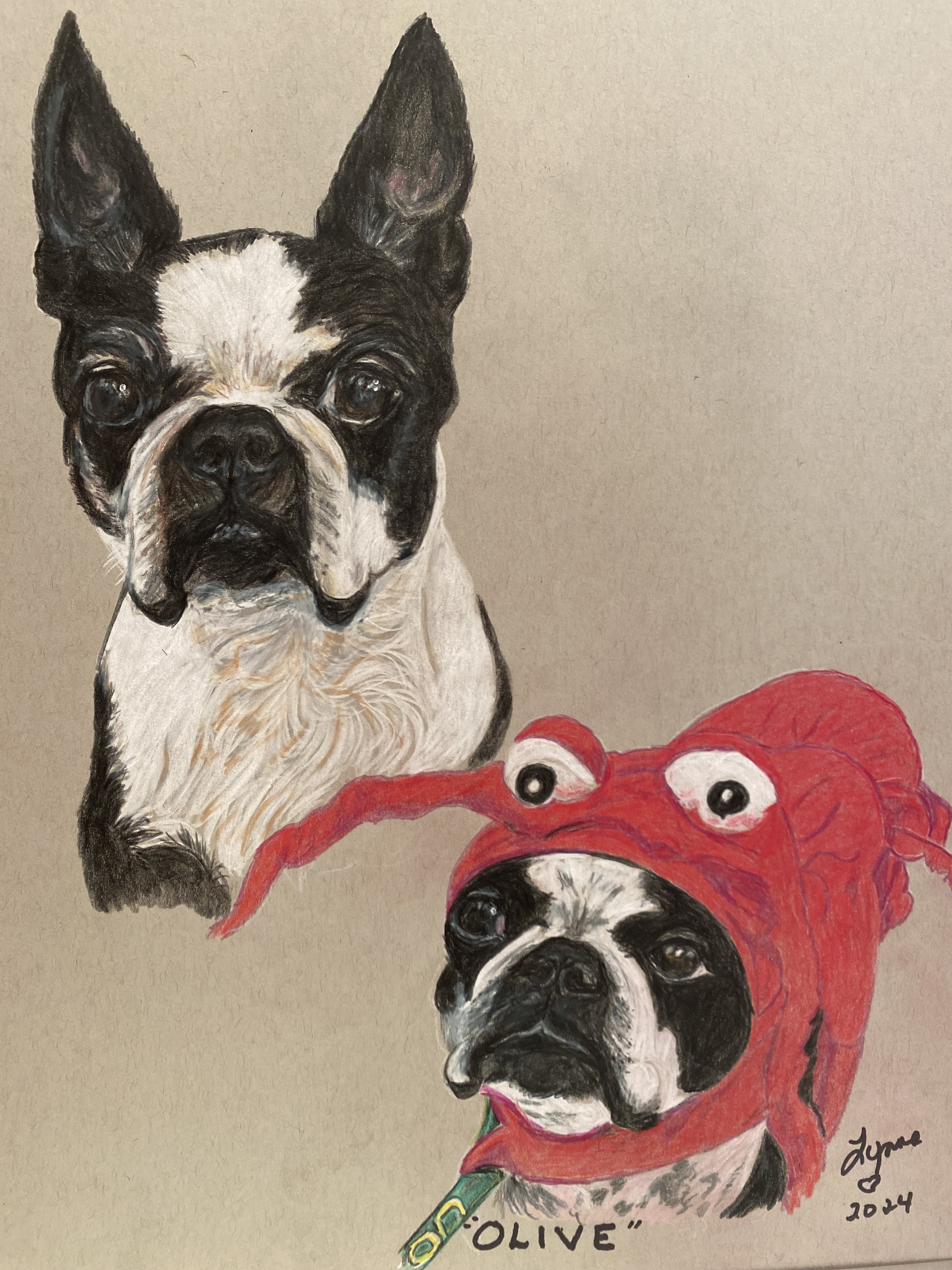 Pet portrait 9