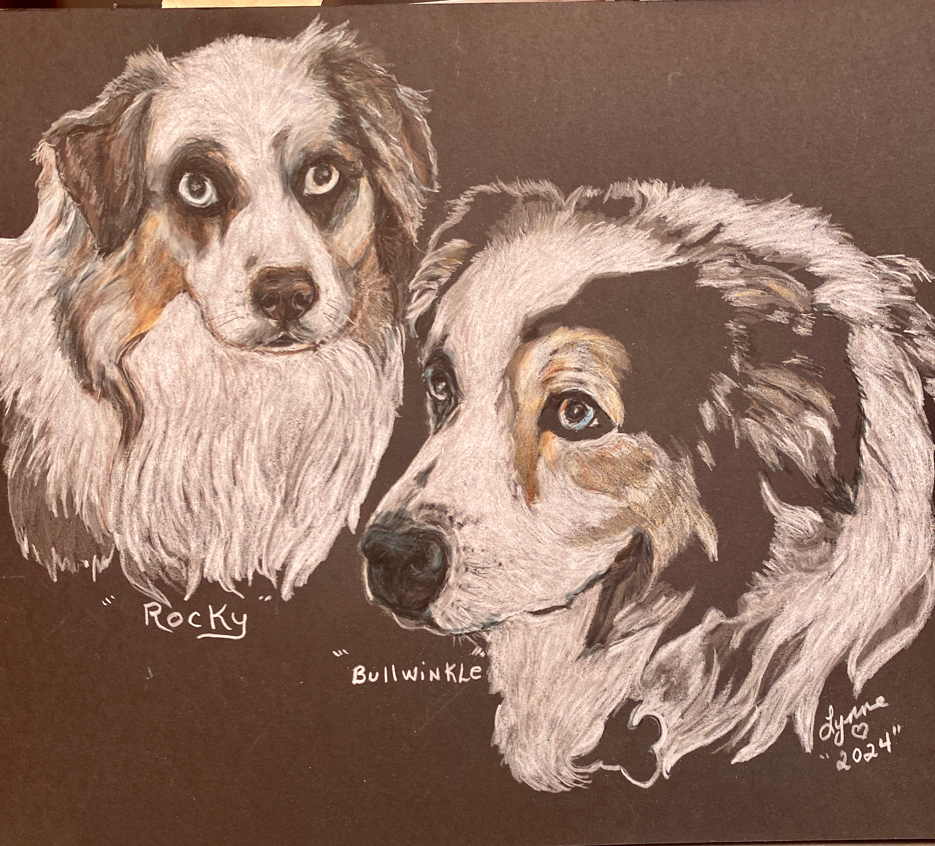 Pet portrait 10