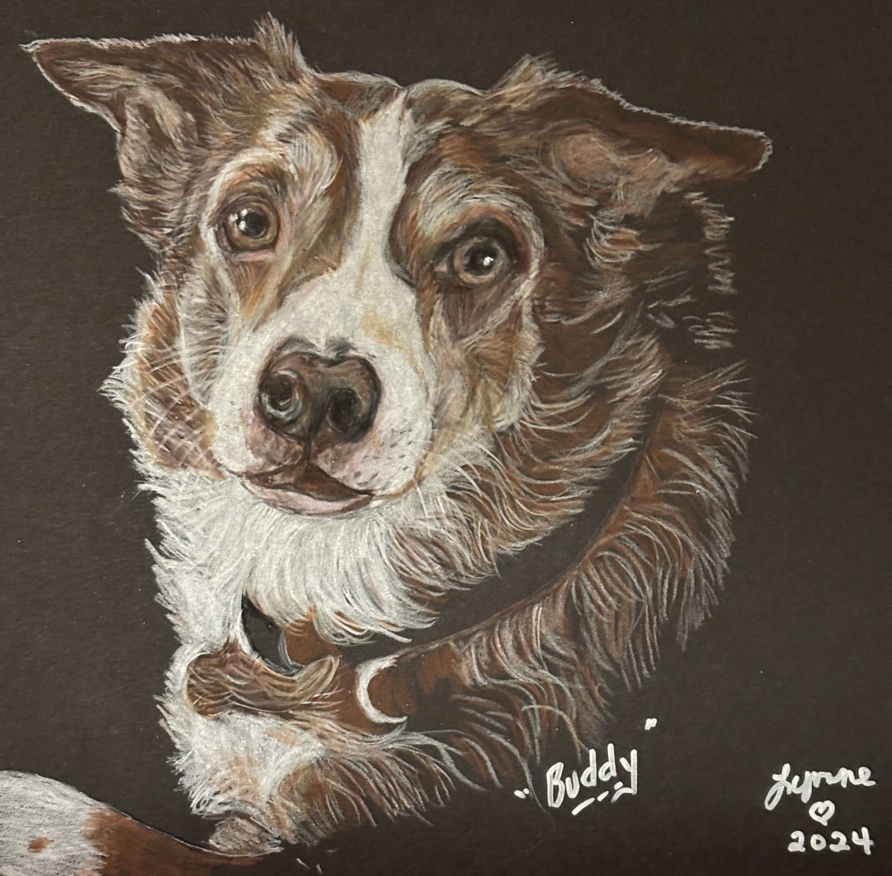 Pet portrait 11