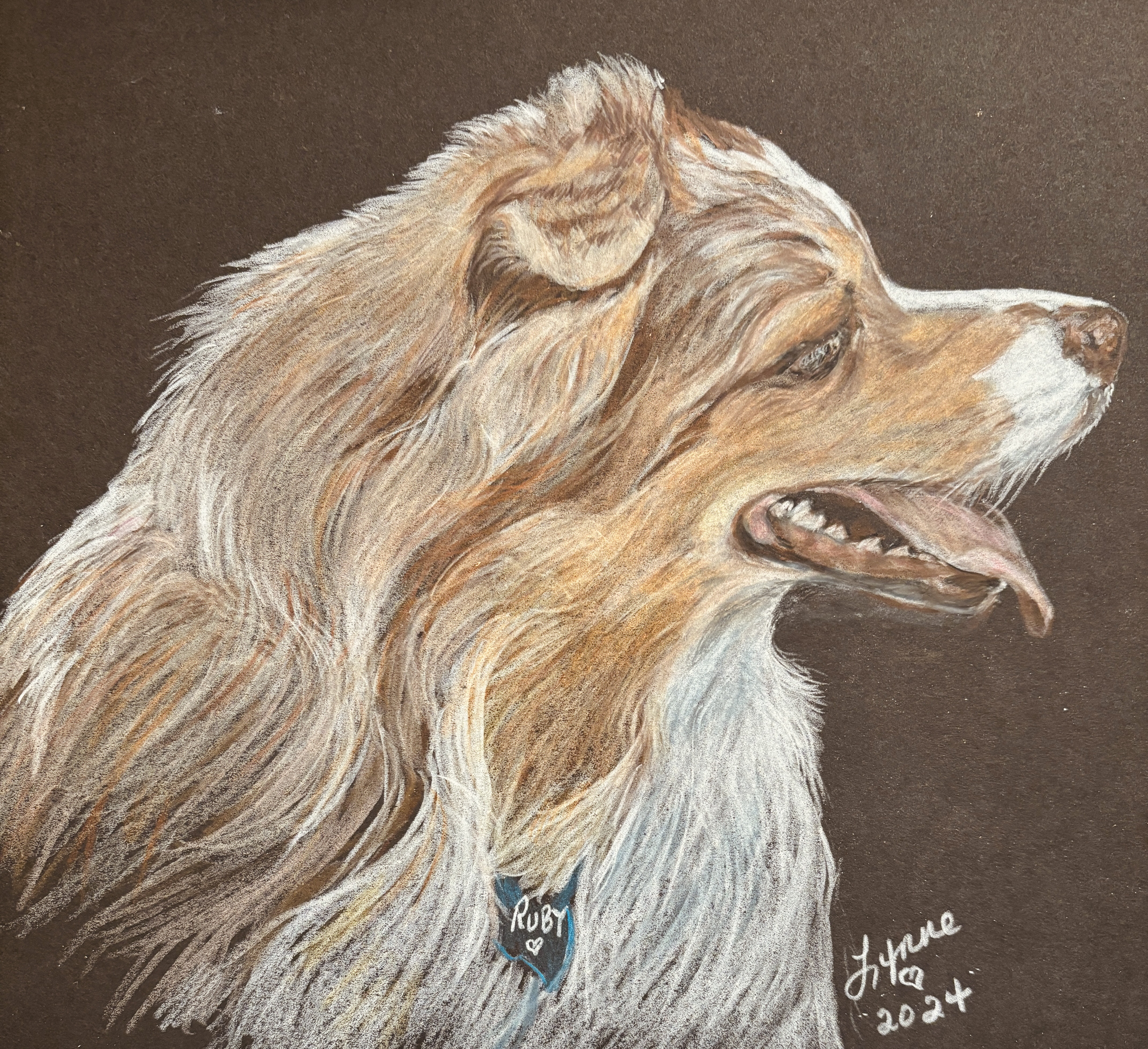 Pet portrait 12
