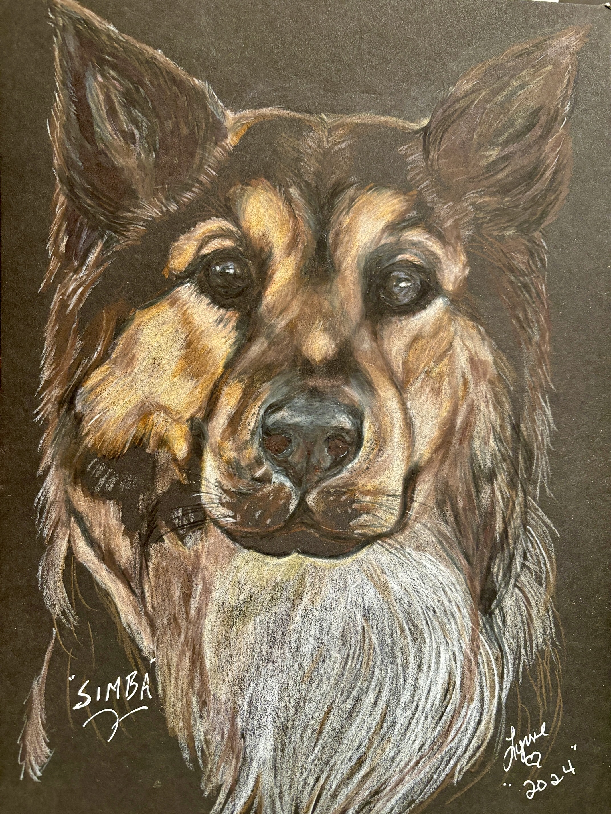 Pet portrait 13