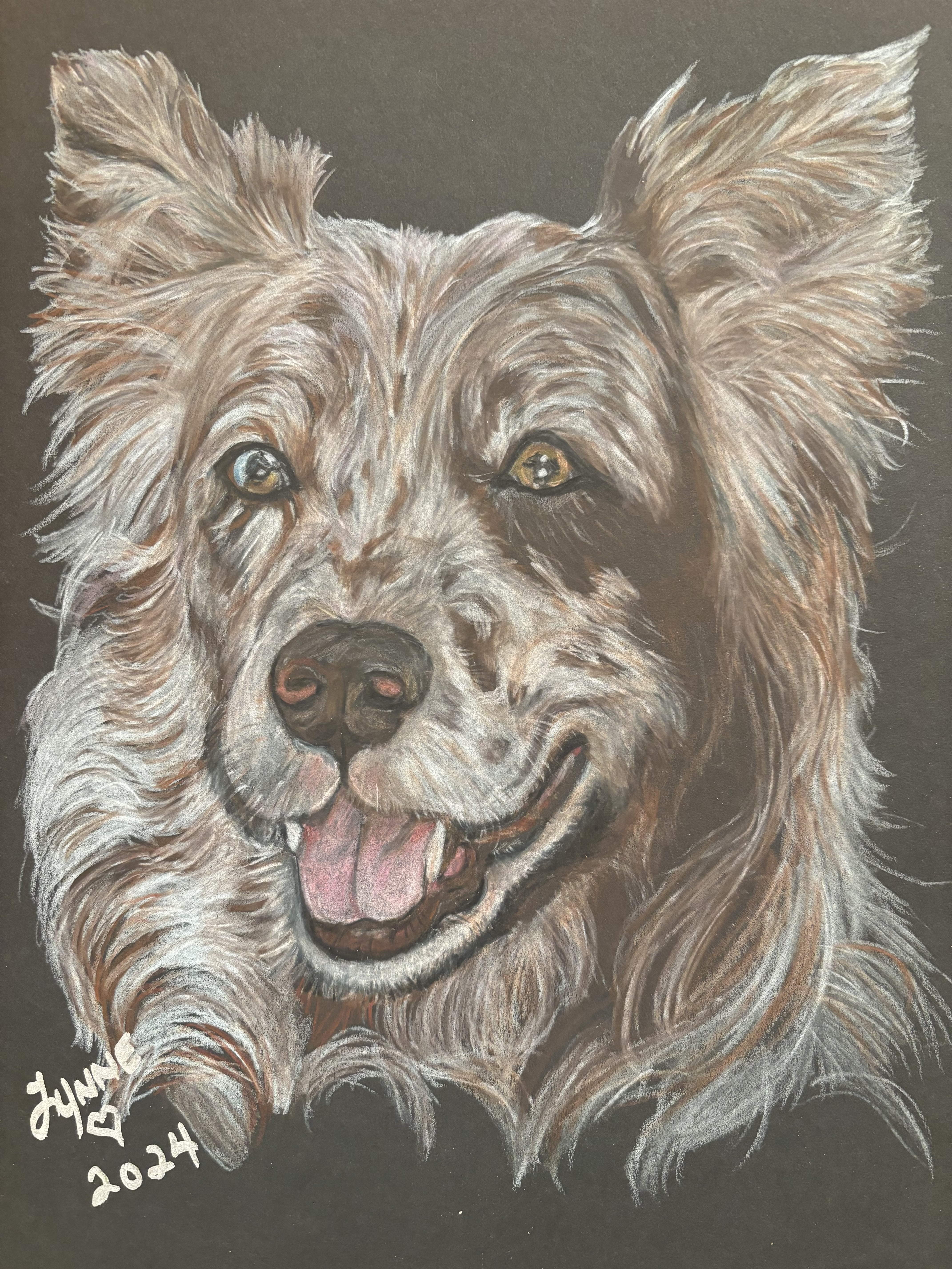 Pet portrait 15