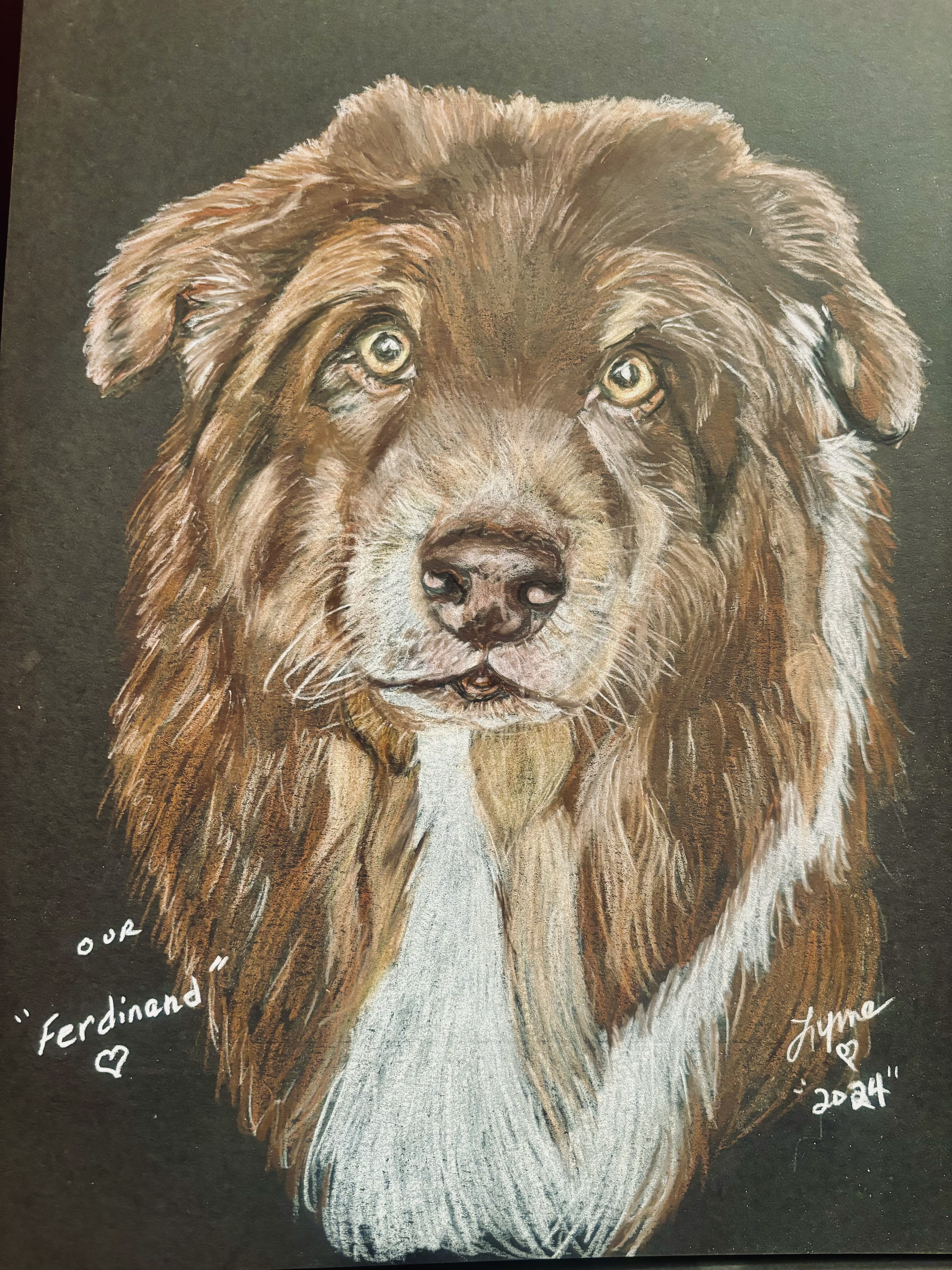 Pet portrait 16