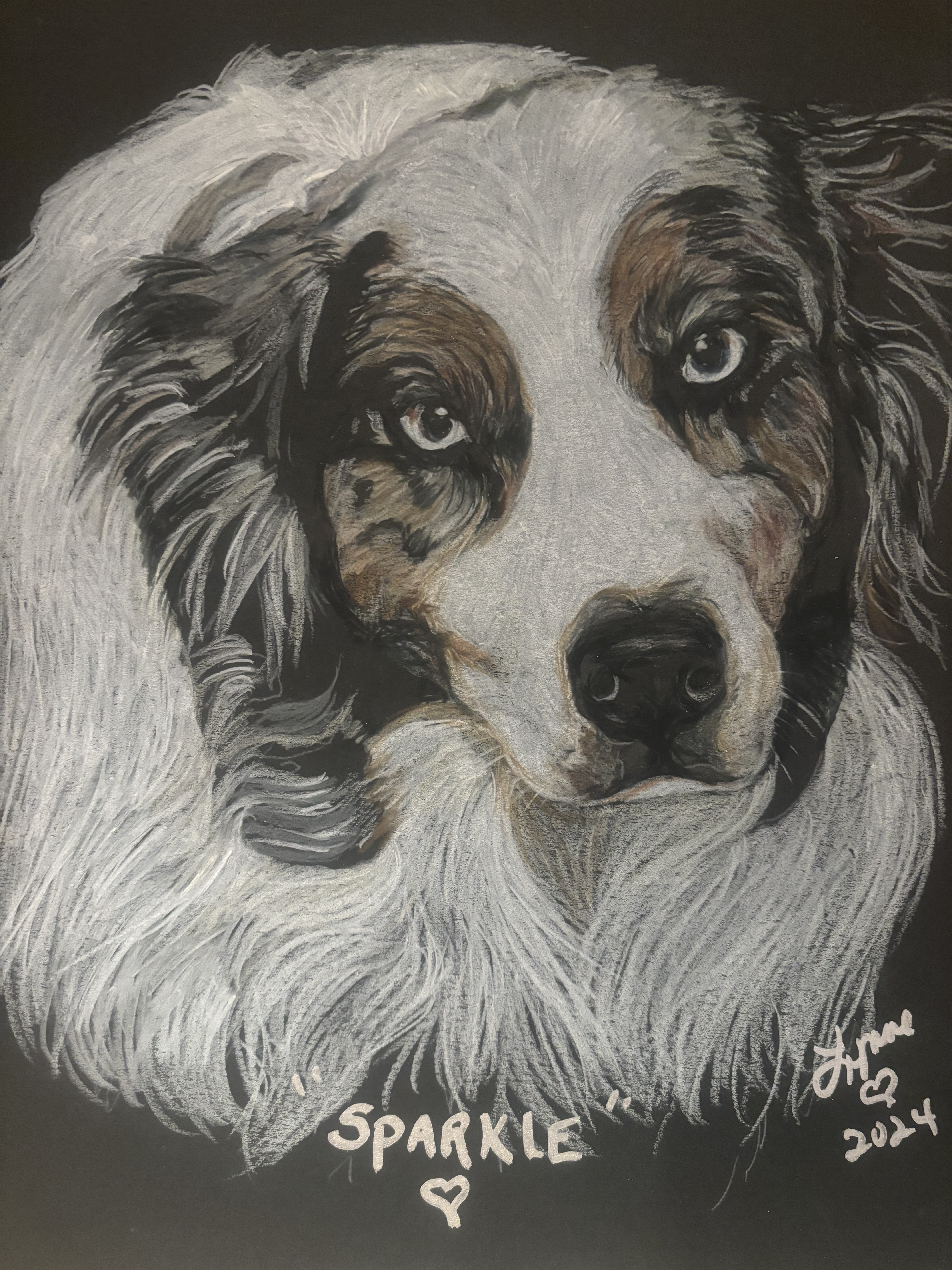 Pet portrait 17