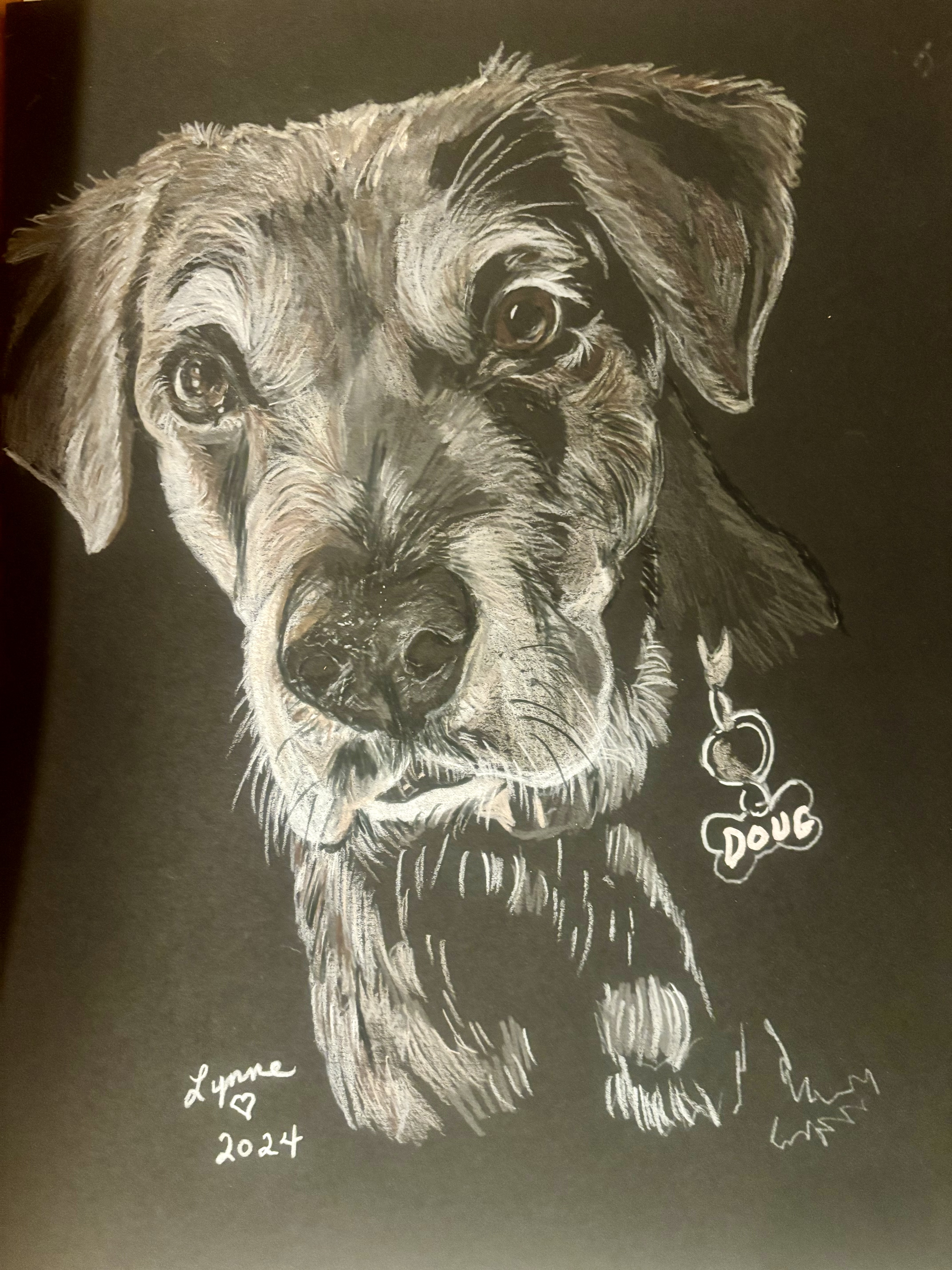 Pet portrait 18