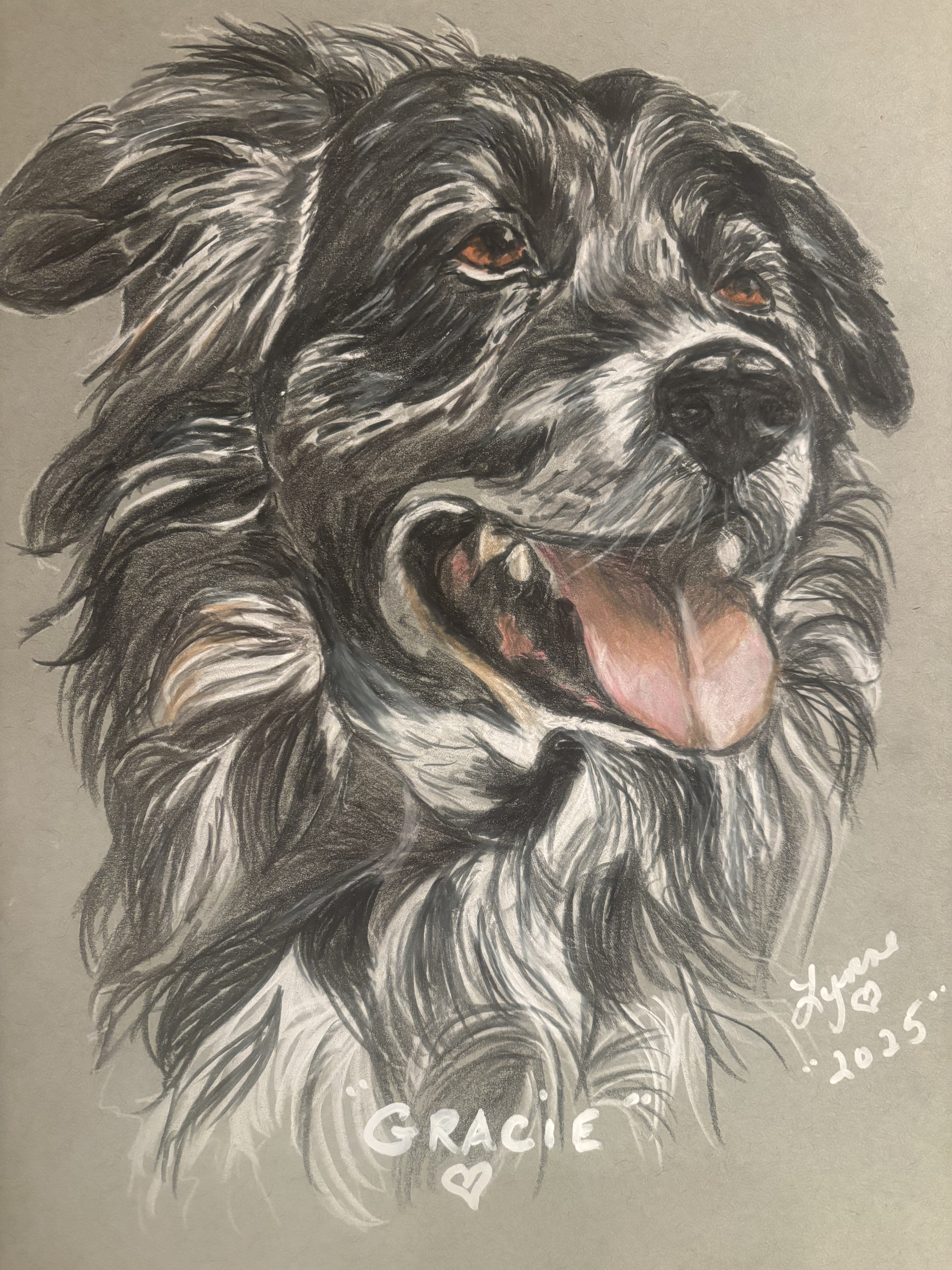 Pet portrait 19