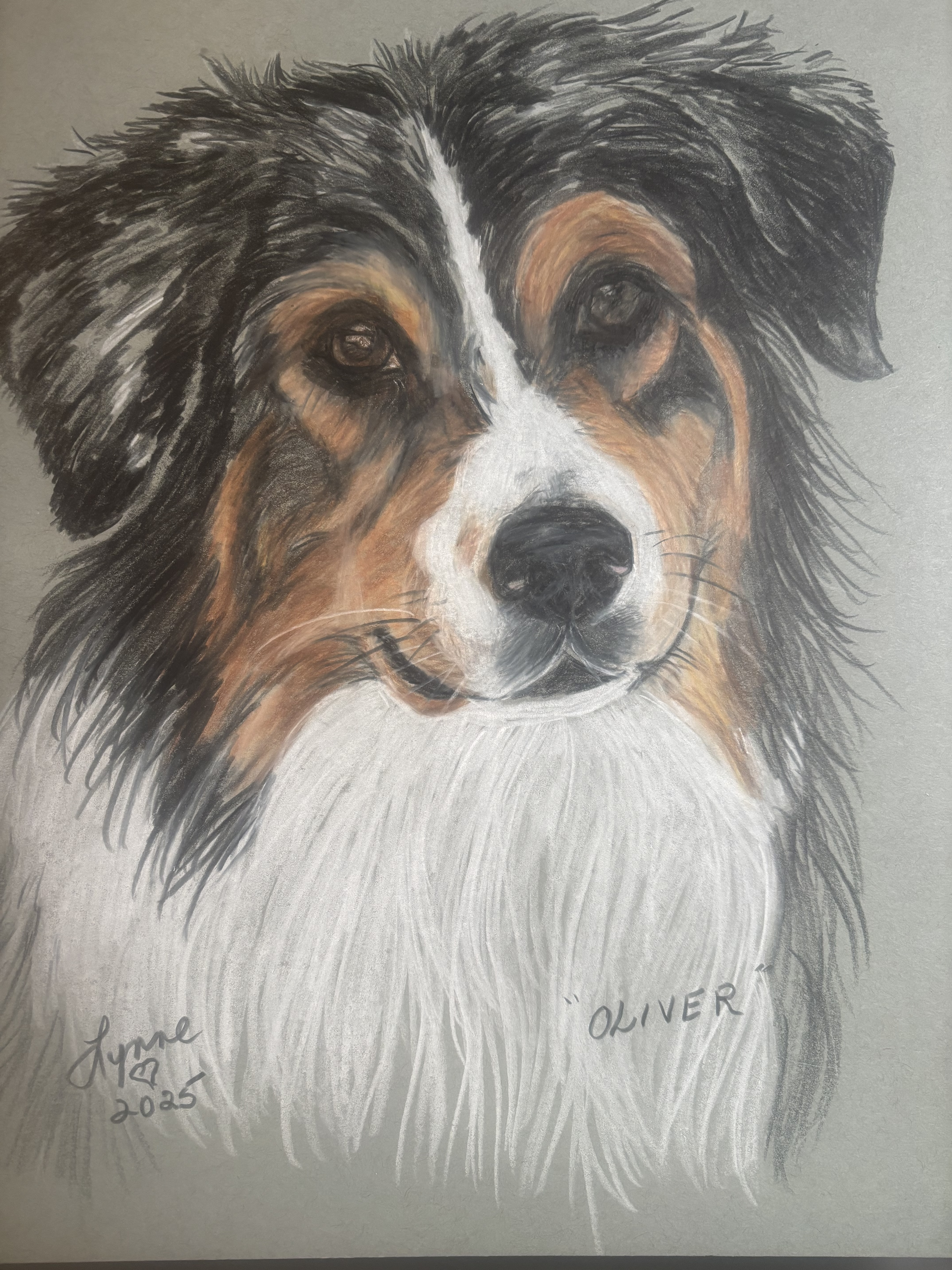 Pet portrait 20