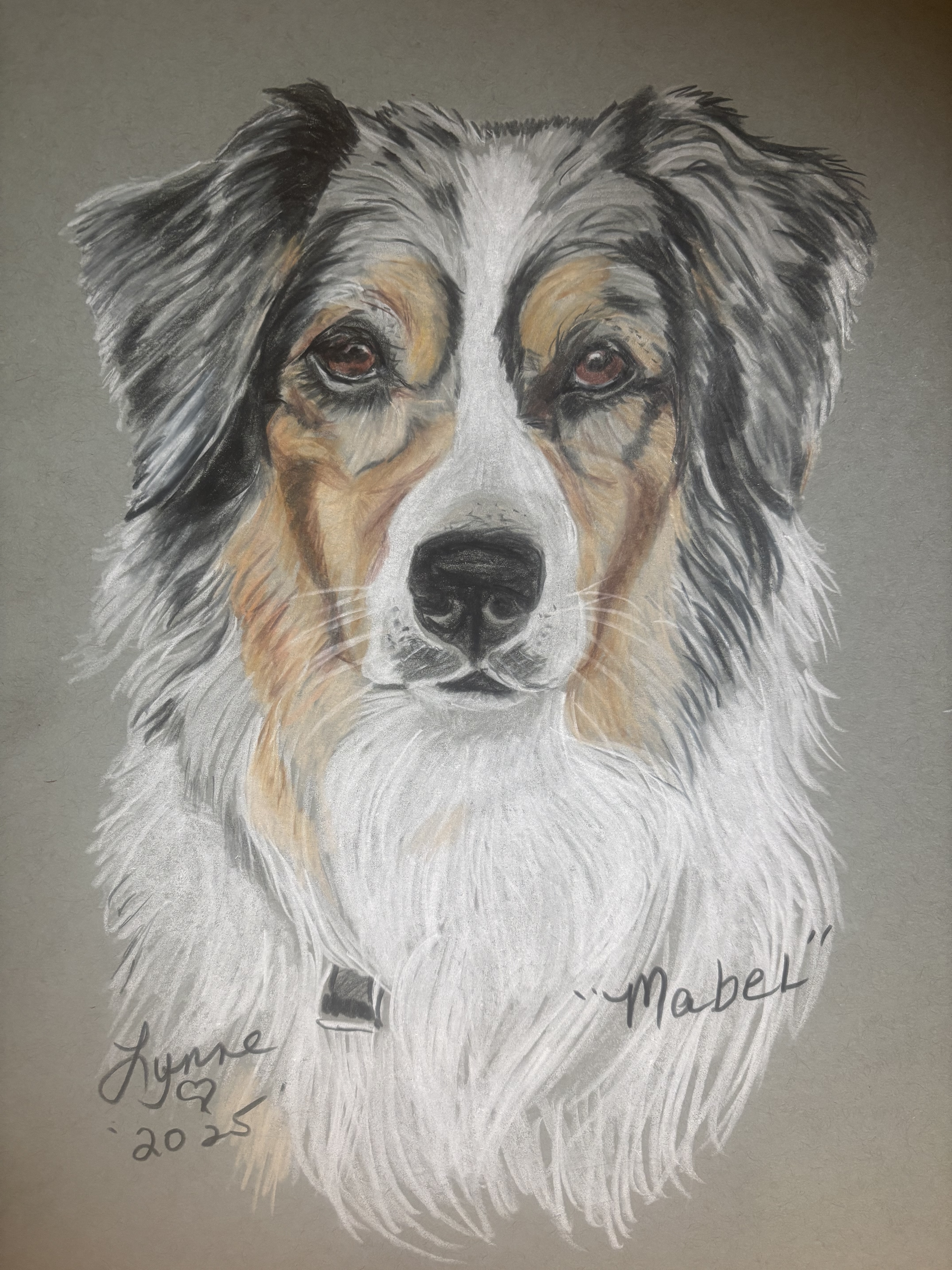 Pet portrait 21