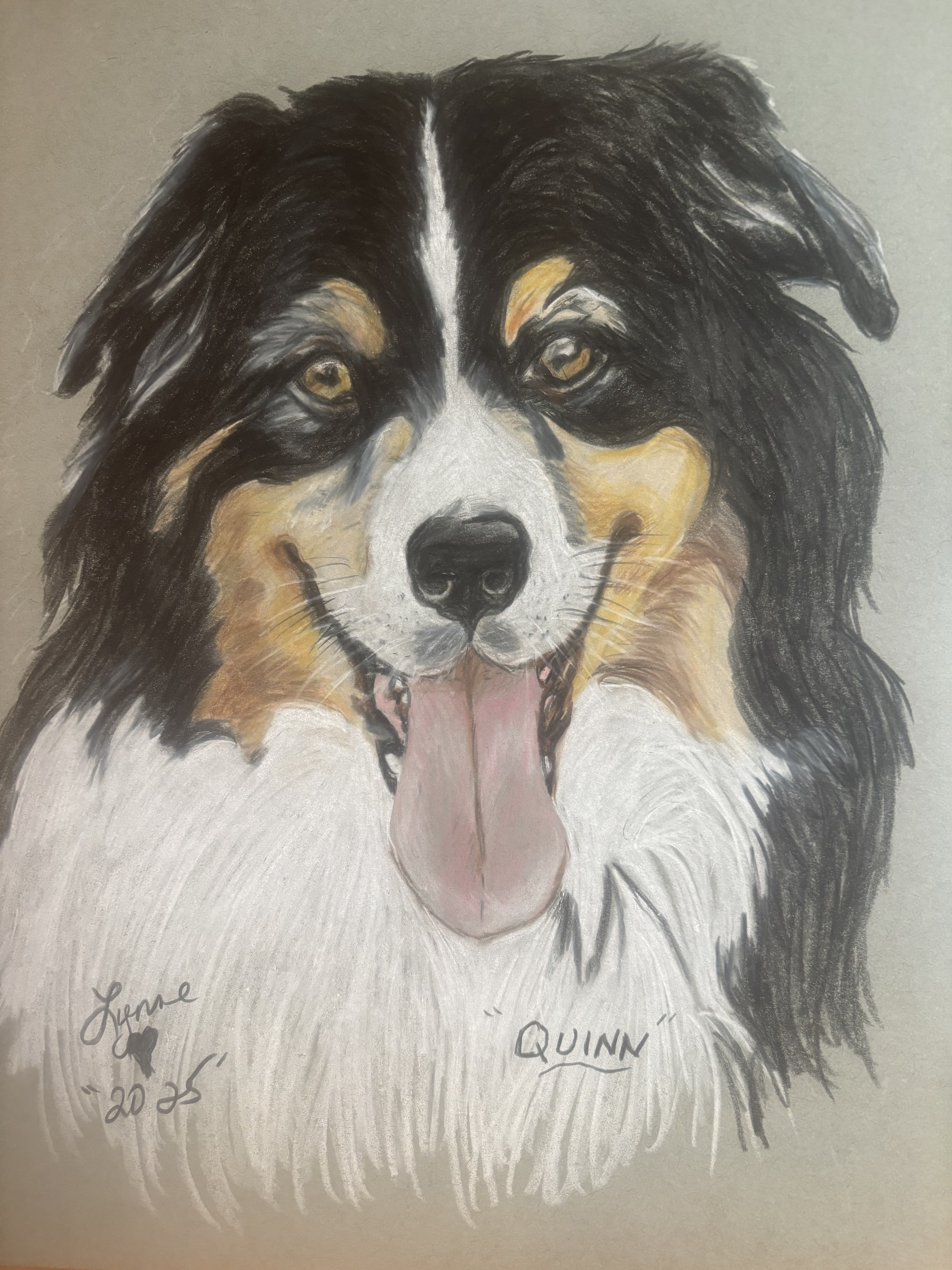 Pet portrait 22