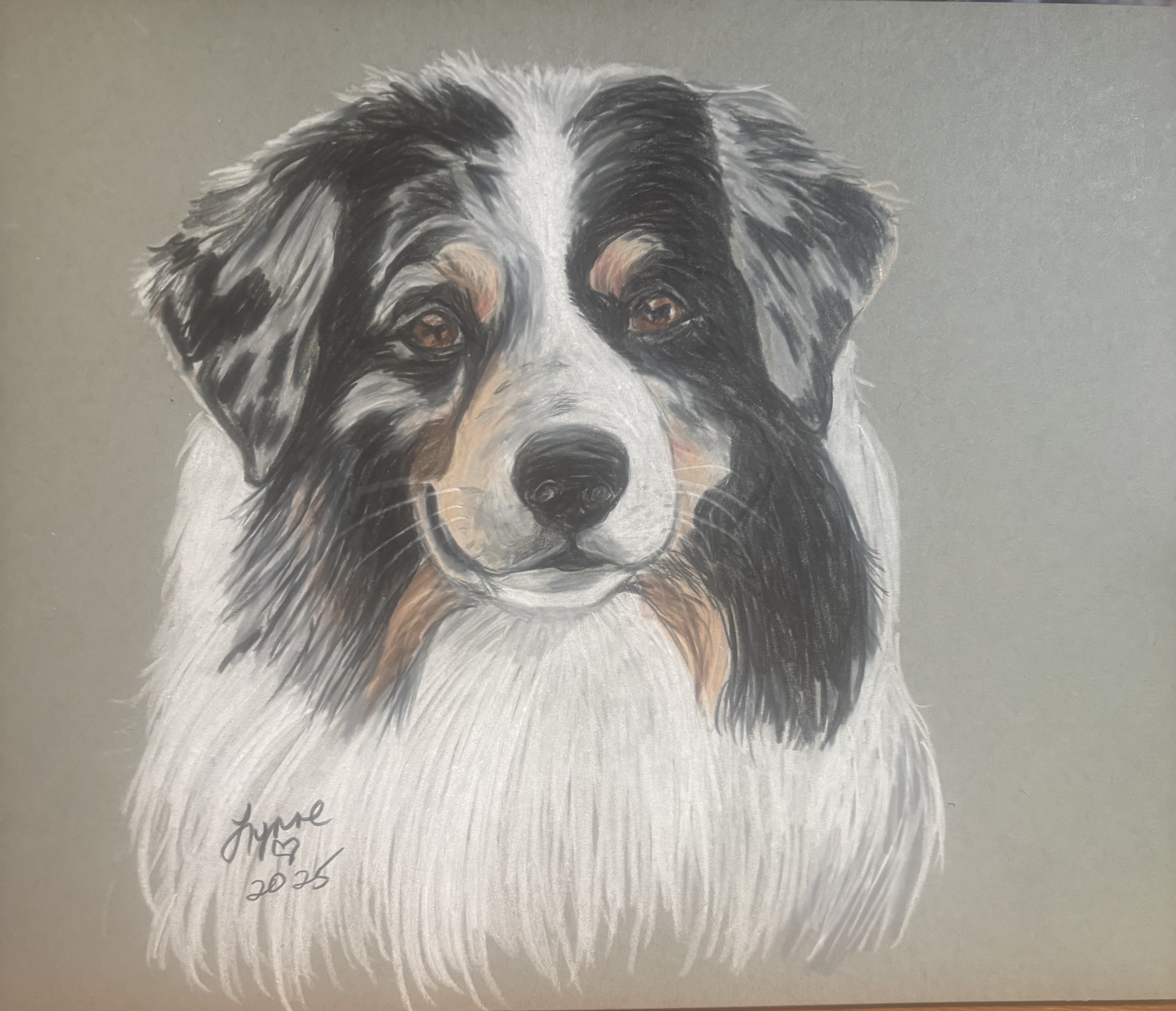 Pet portrait 23