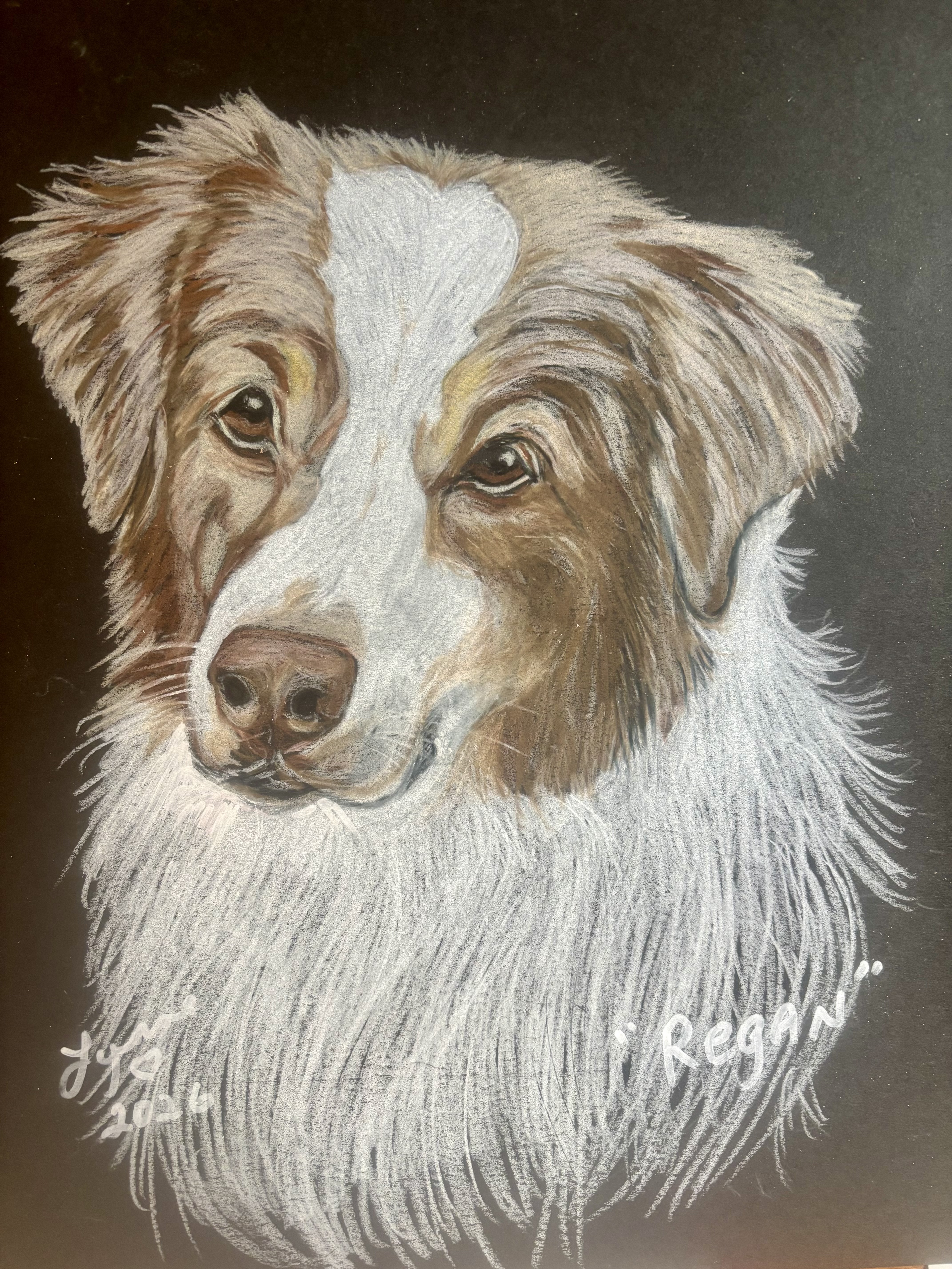 Pet portrait 24