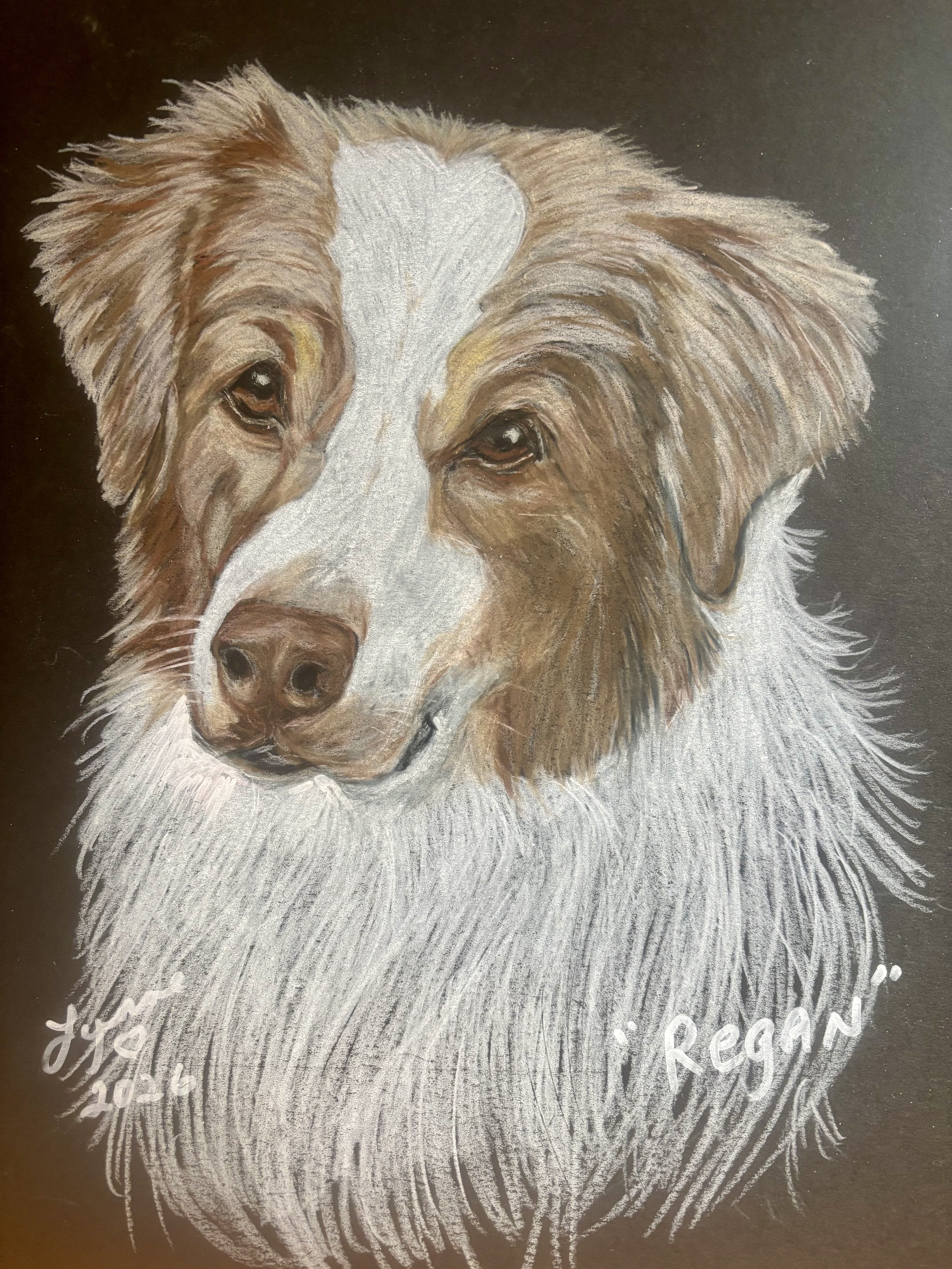 Pet portrait 28