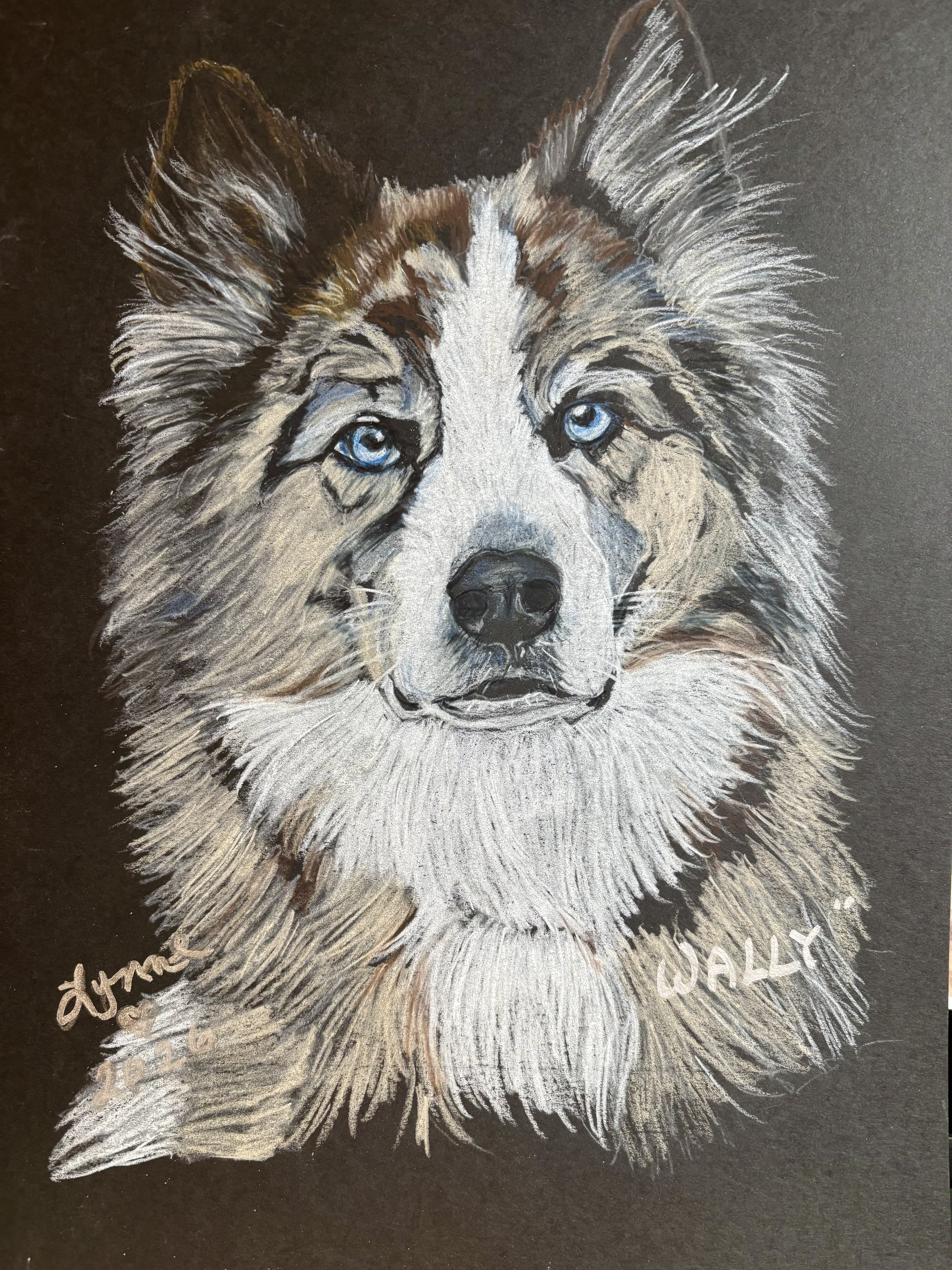 Pet portrait 32