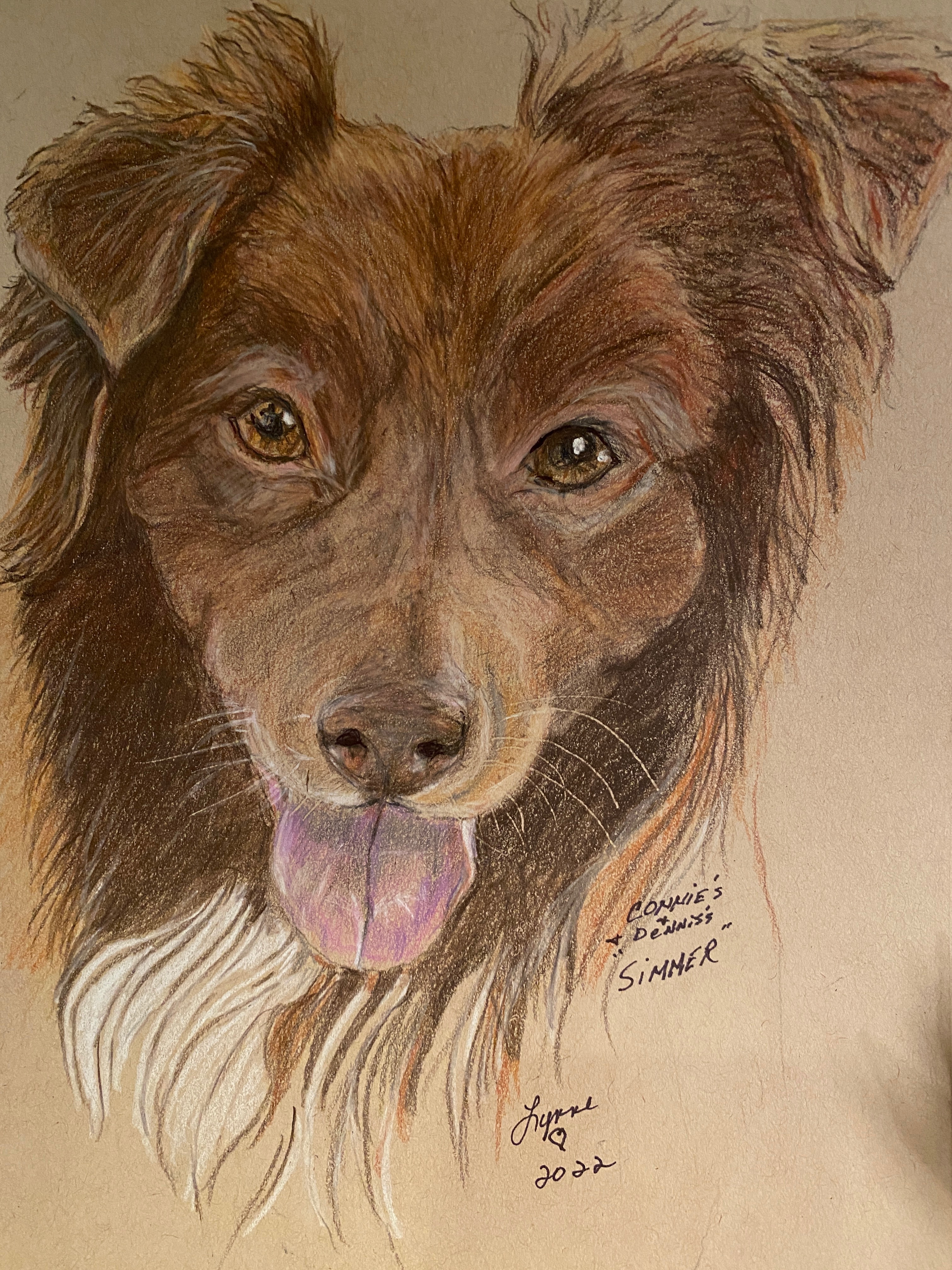 Pet portrait 35