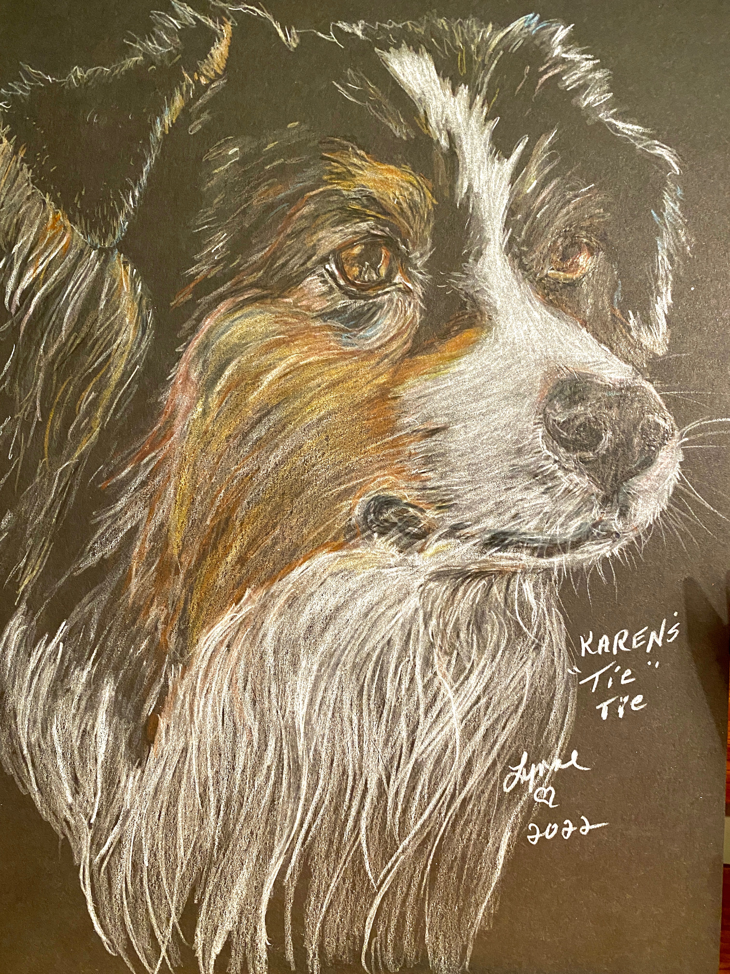 Pet portrait 37