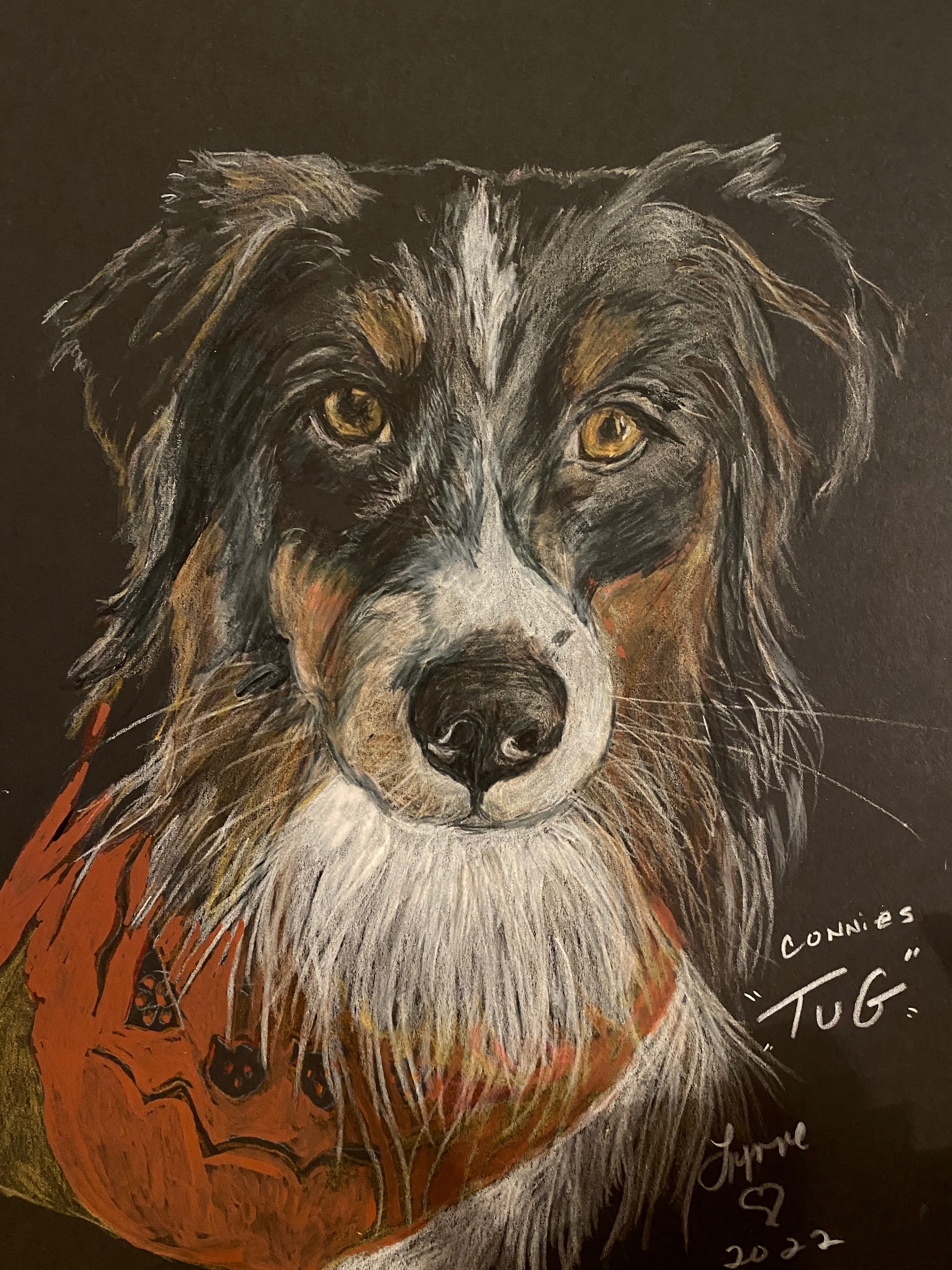 Pet portrait 39