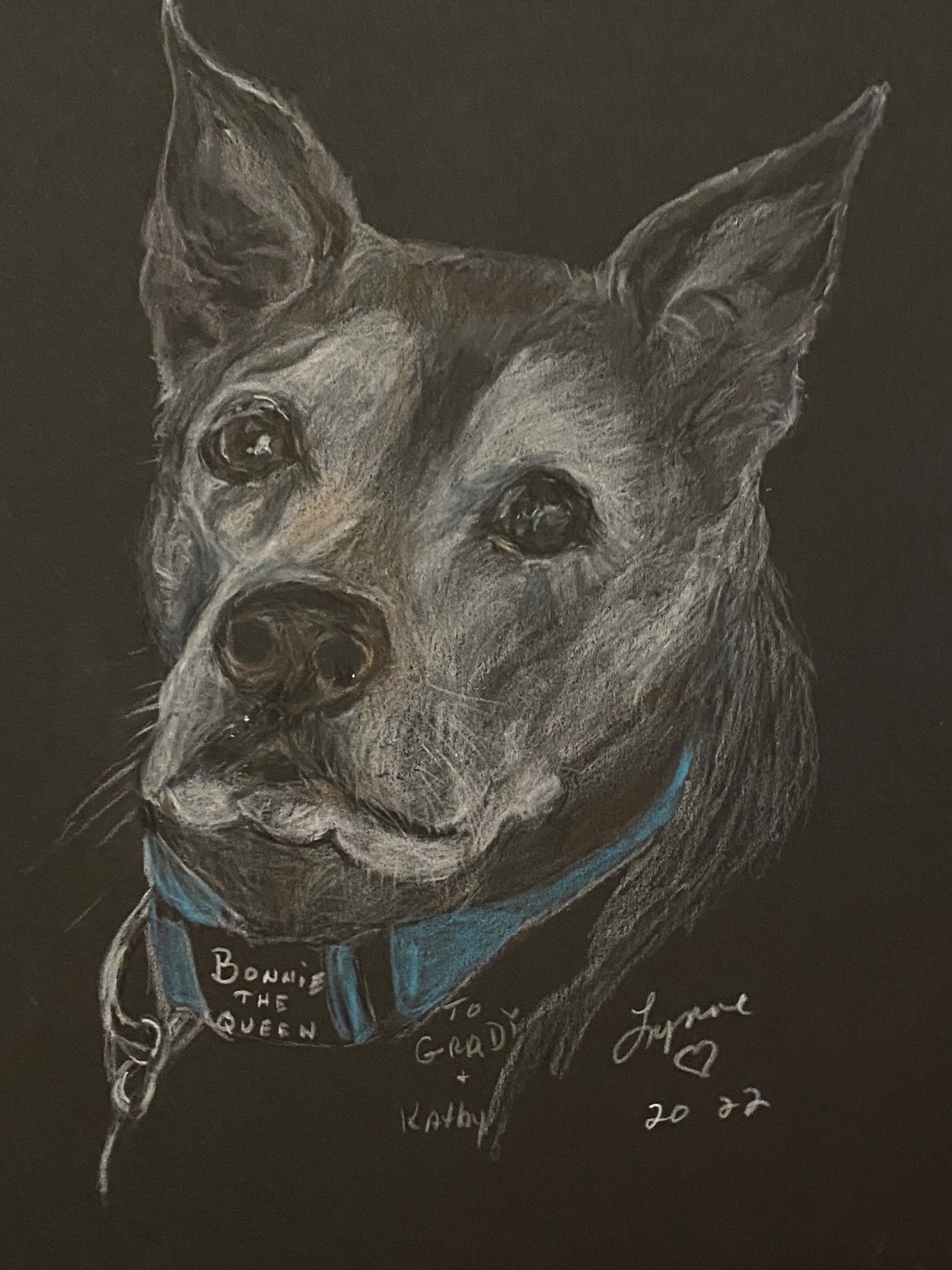 Pet portrait 40