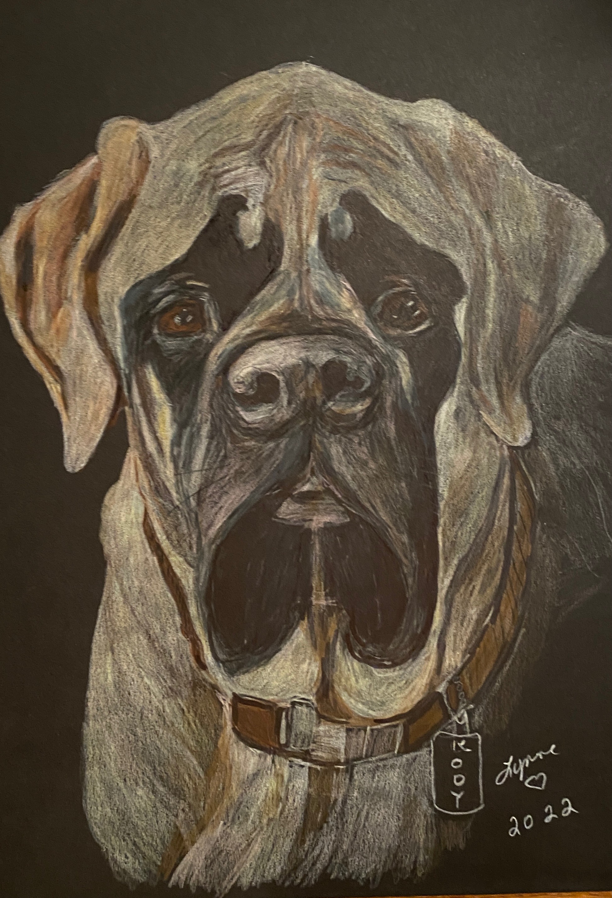 Colored pencil pet portrait