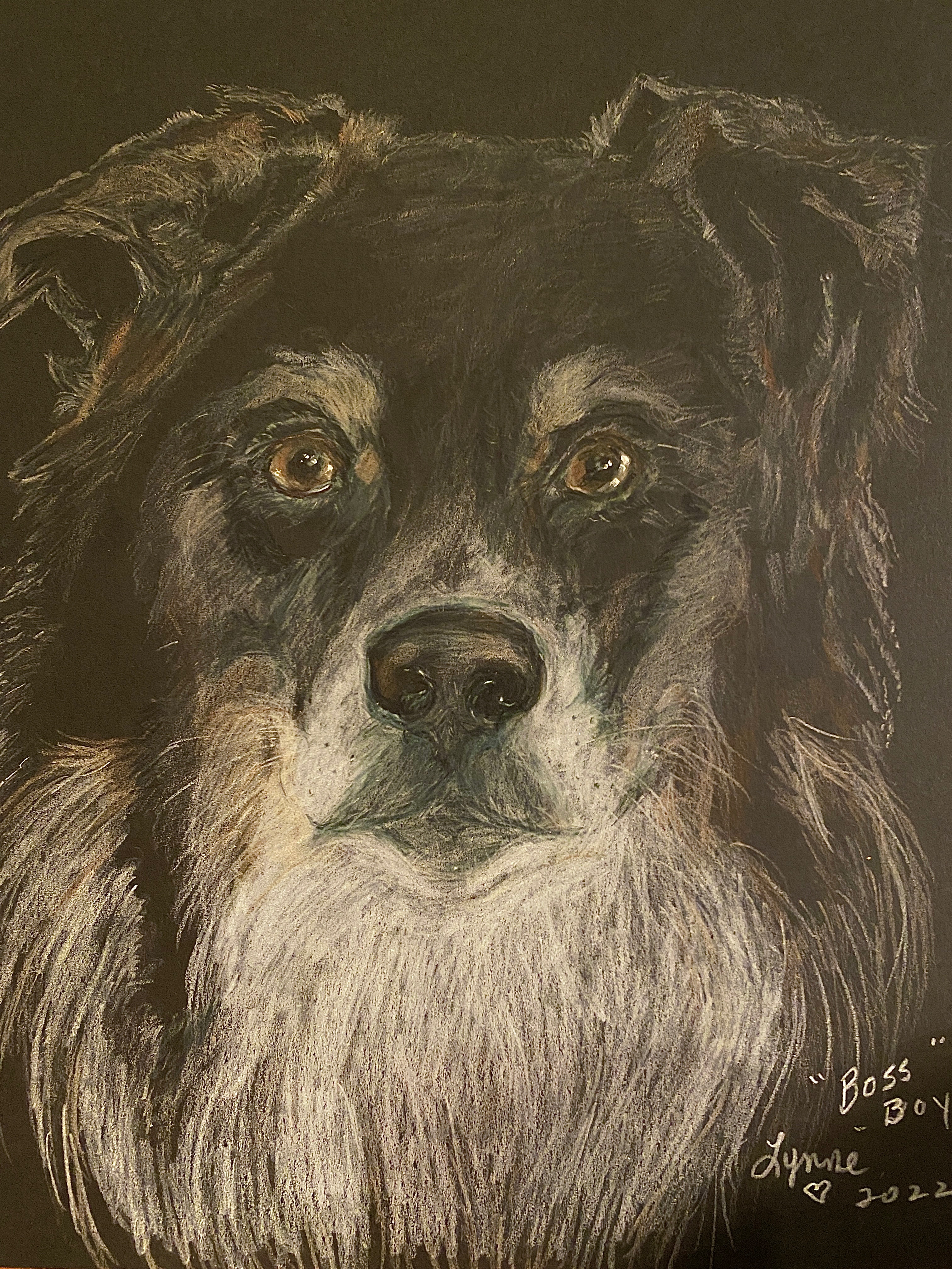 Pet portrait 43
