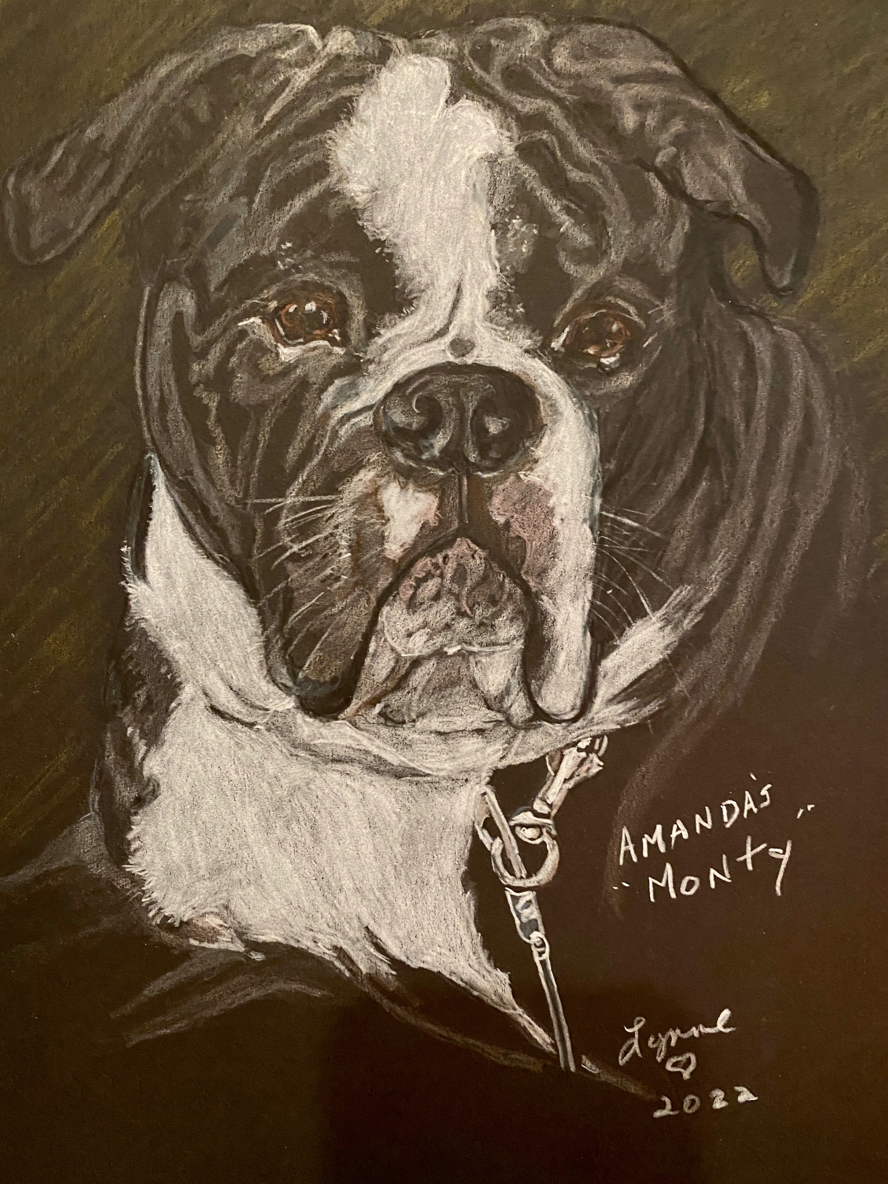 Pet portrait 46