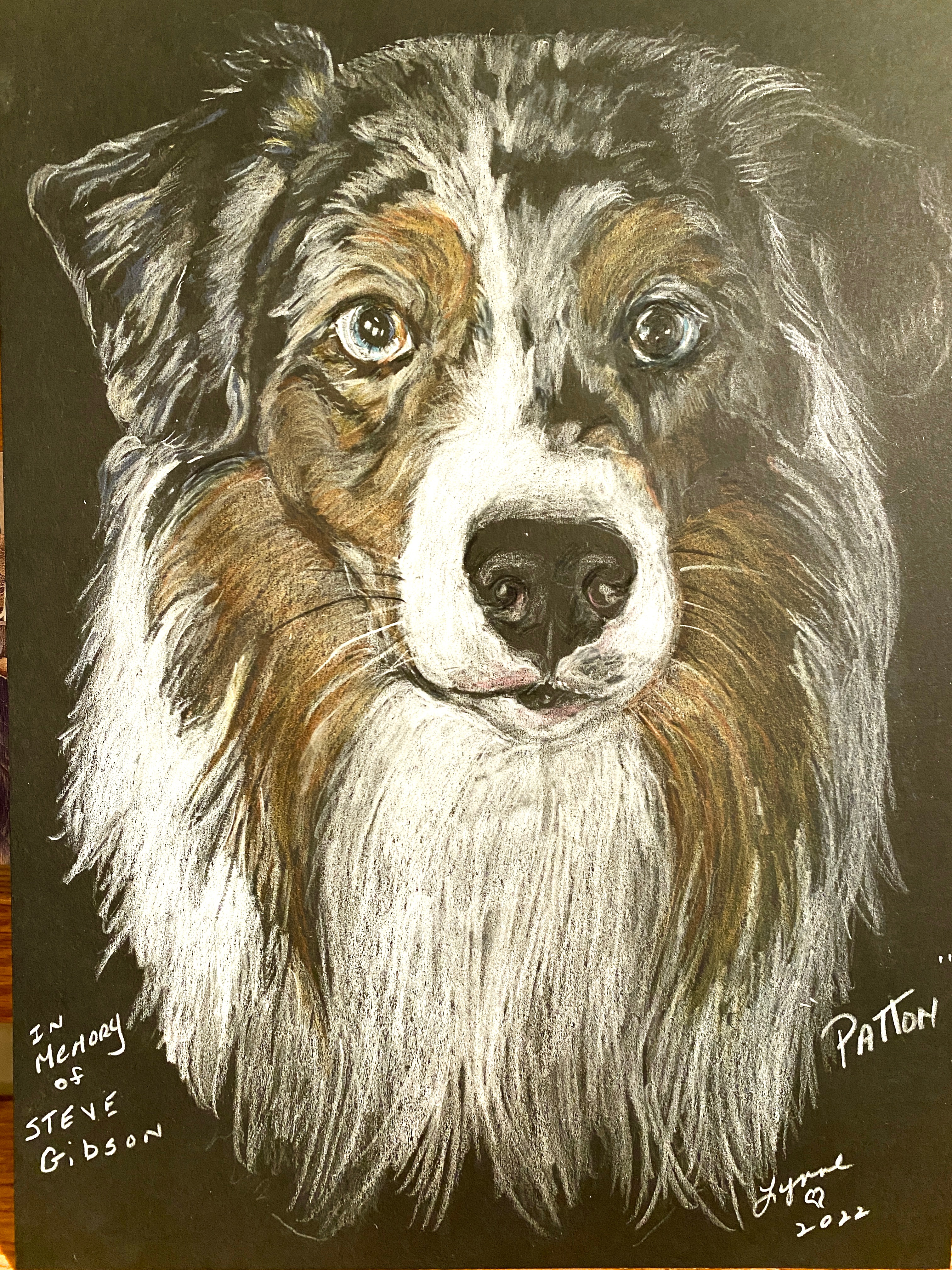 Pet portrait 47