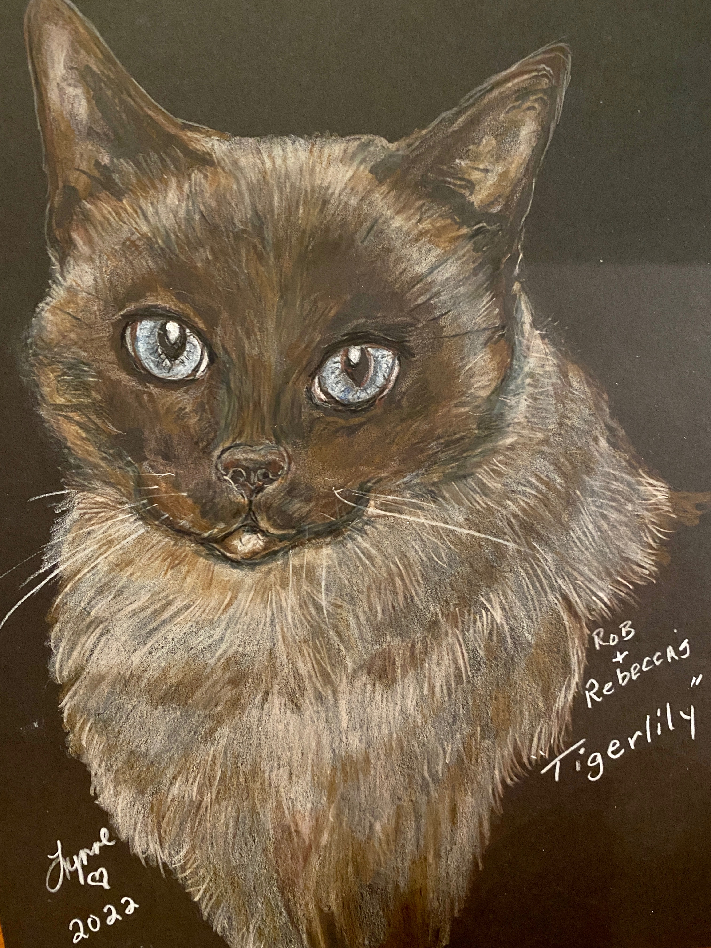 Colored pencil pet portrait