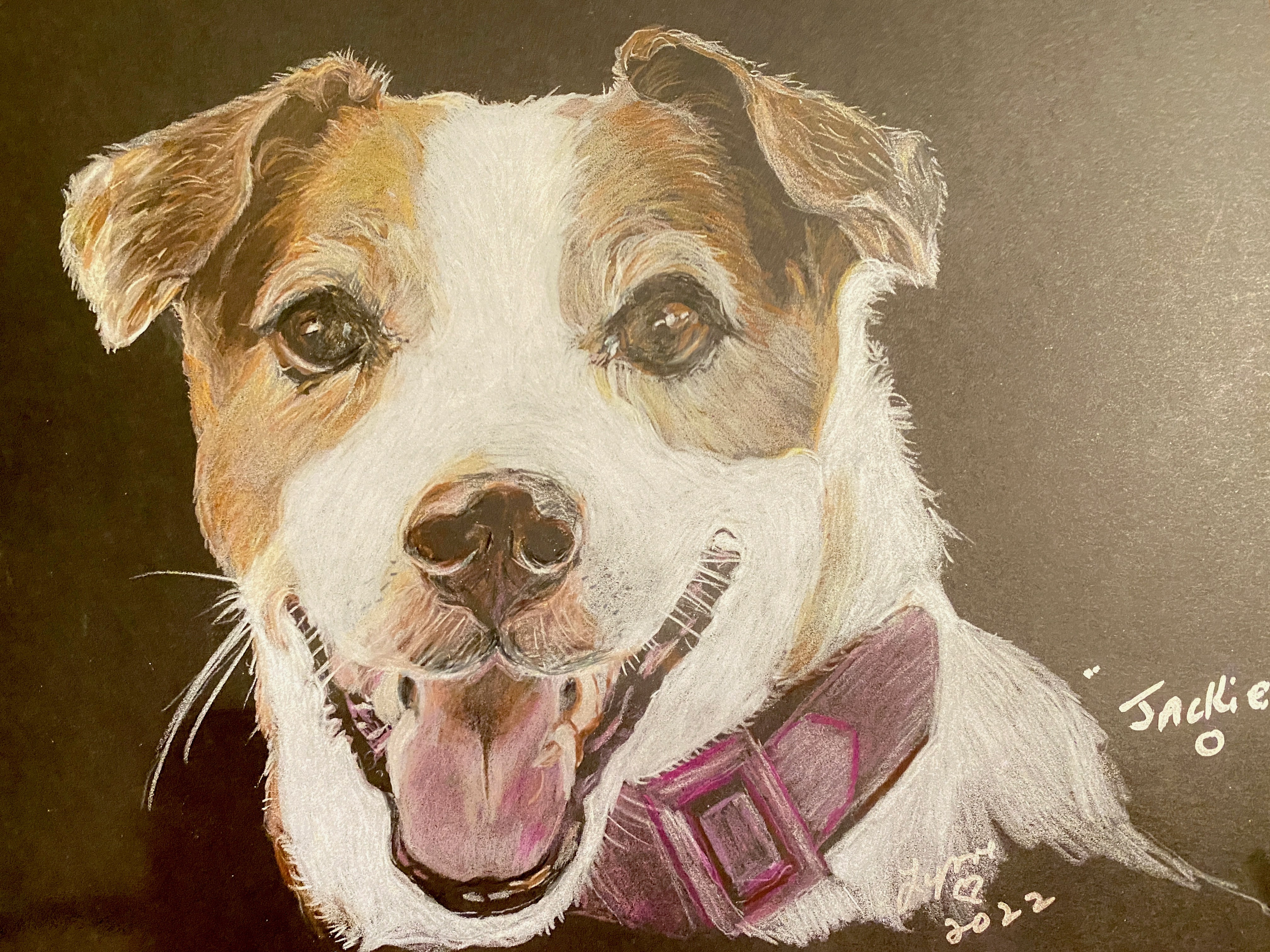 Pet portrait 54