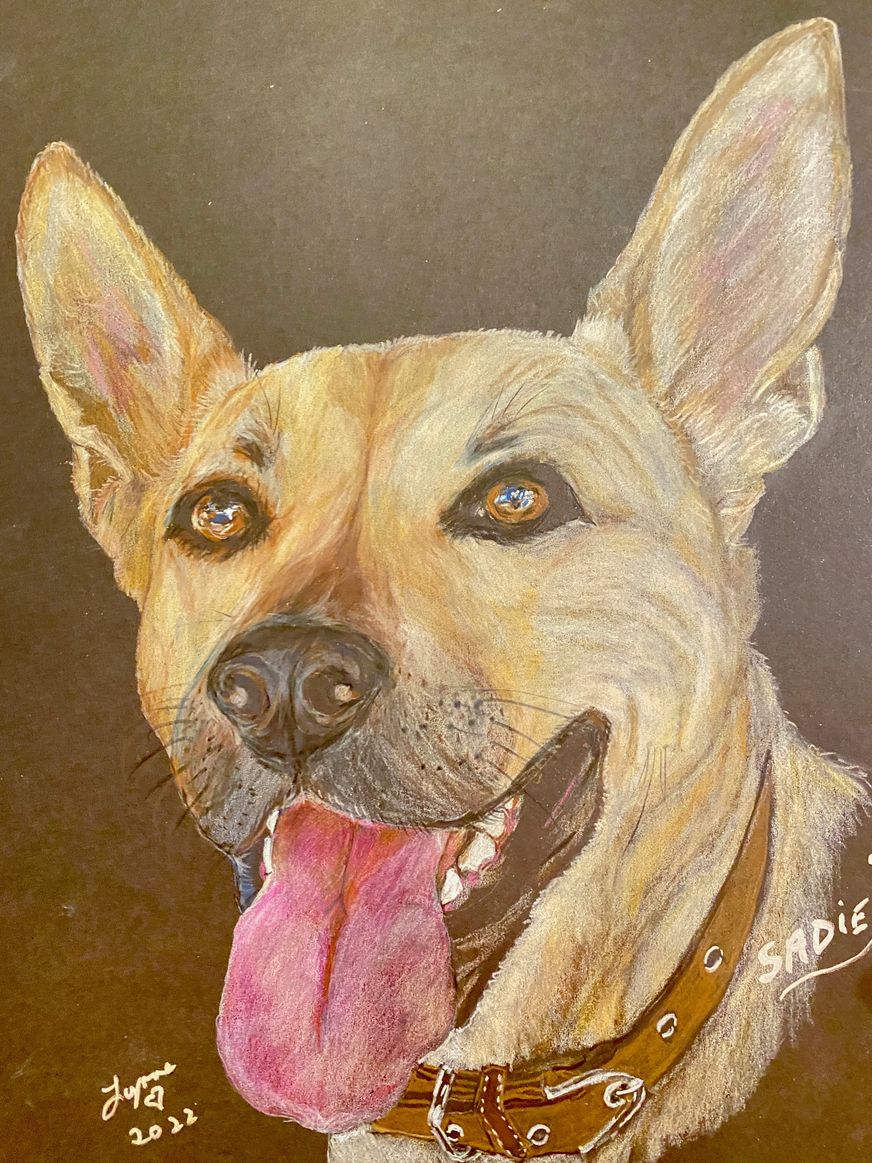 Pet portrait 55