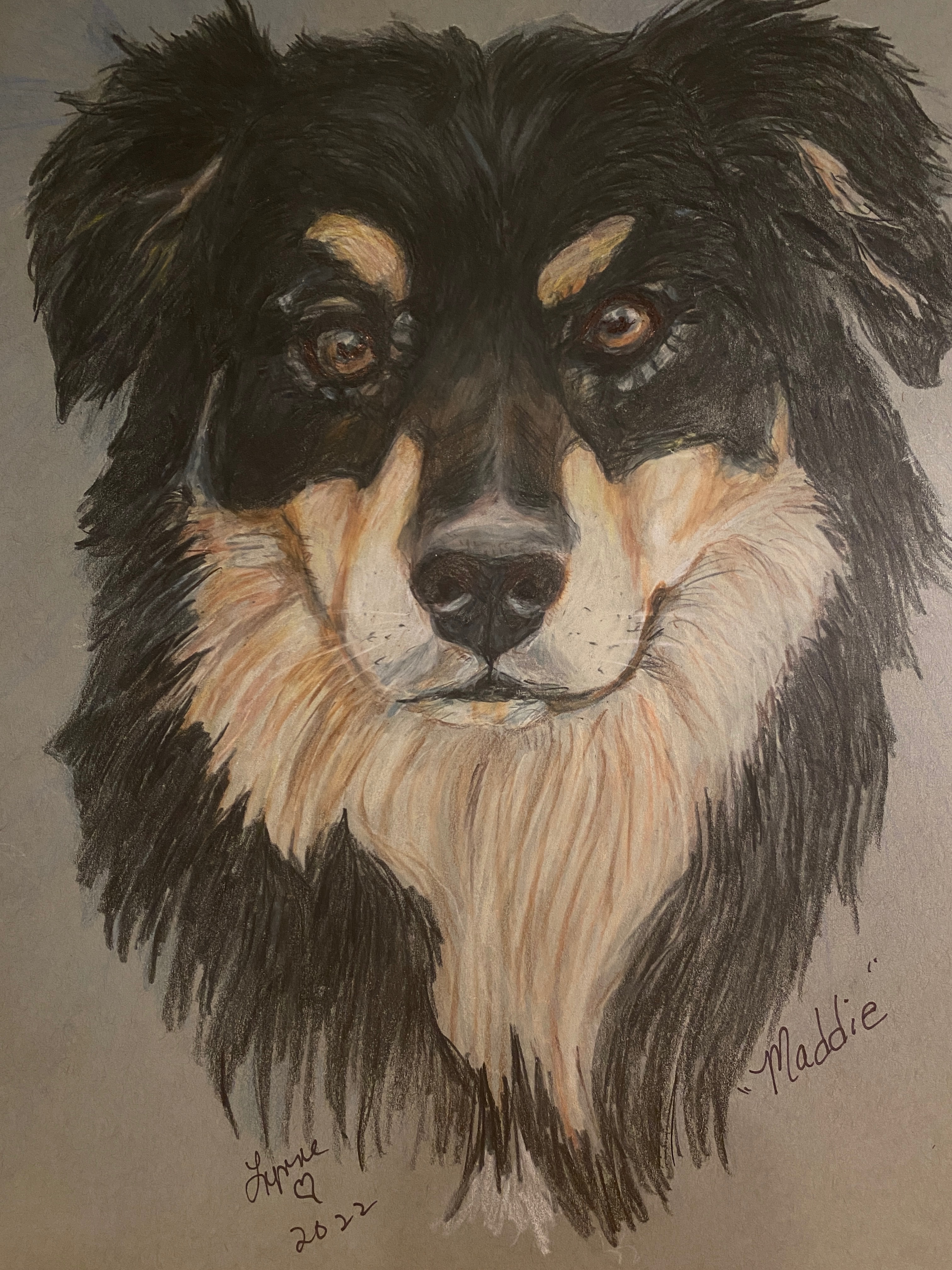 Pet portrait 58