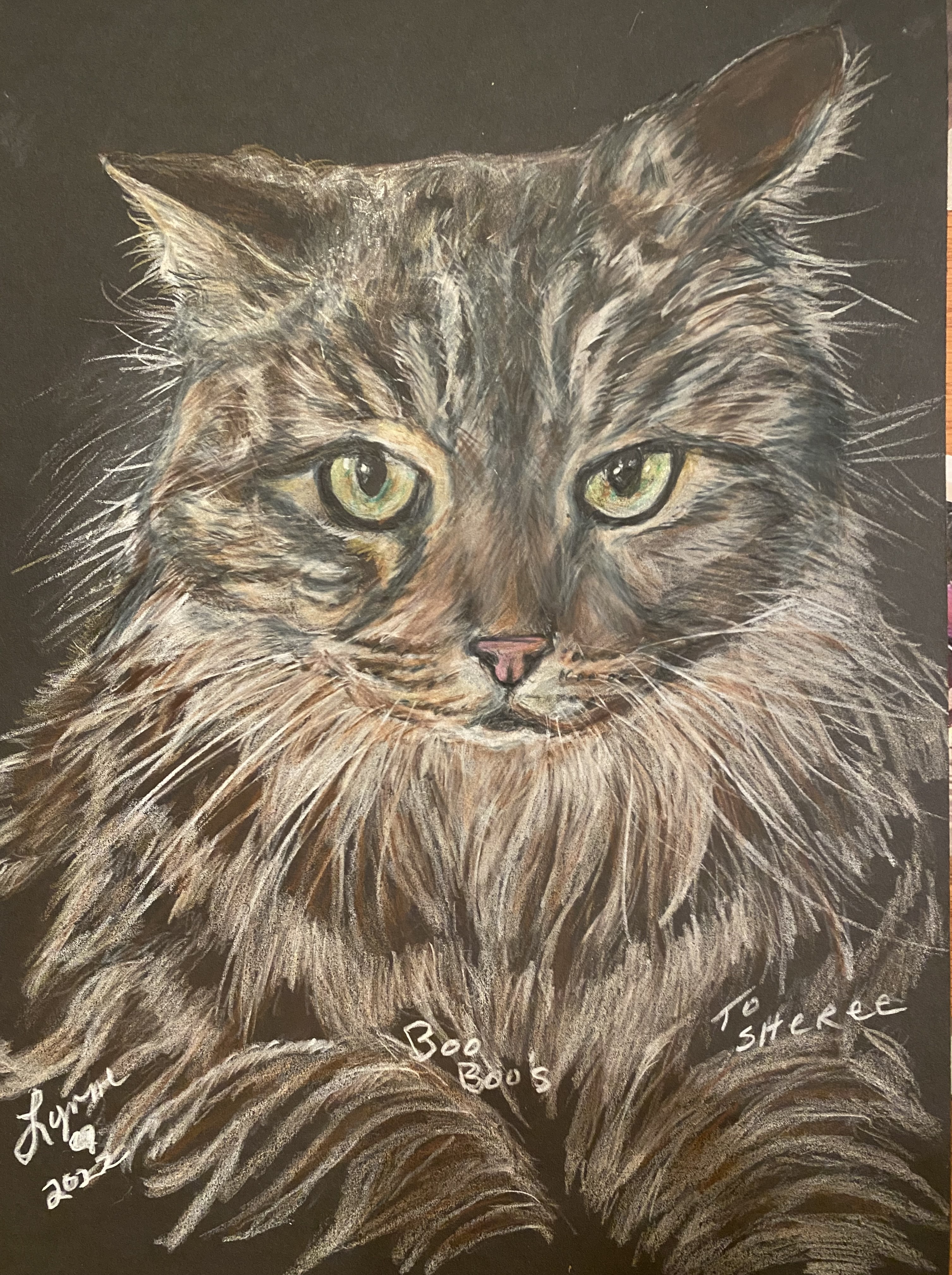 Pet portrait 62