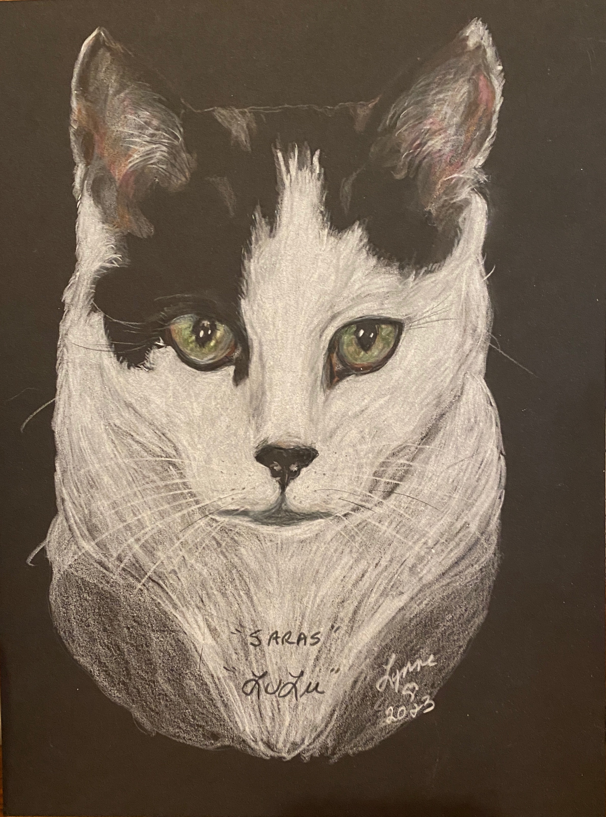 Pet portrait 65