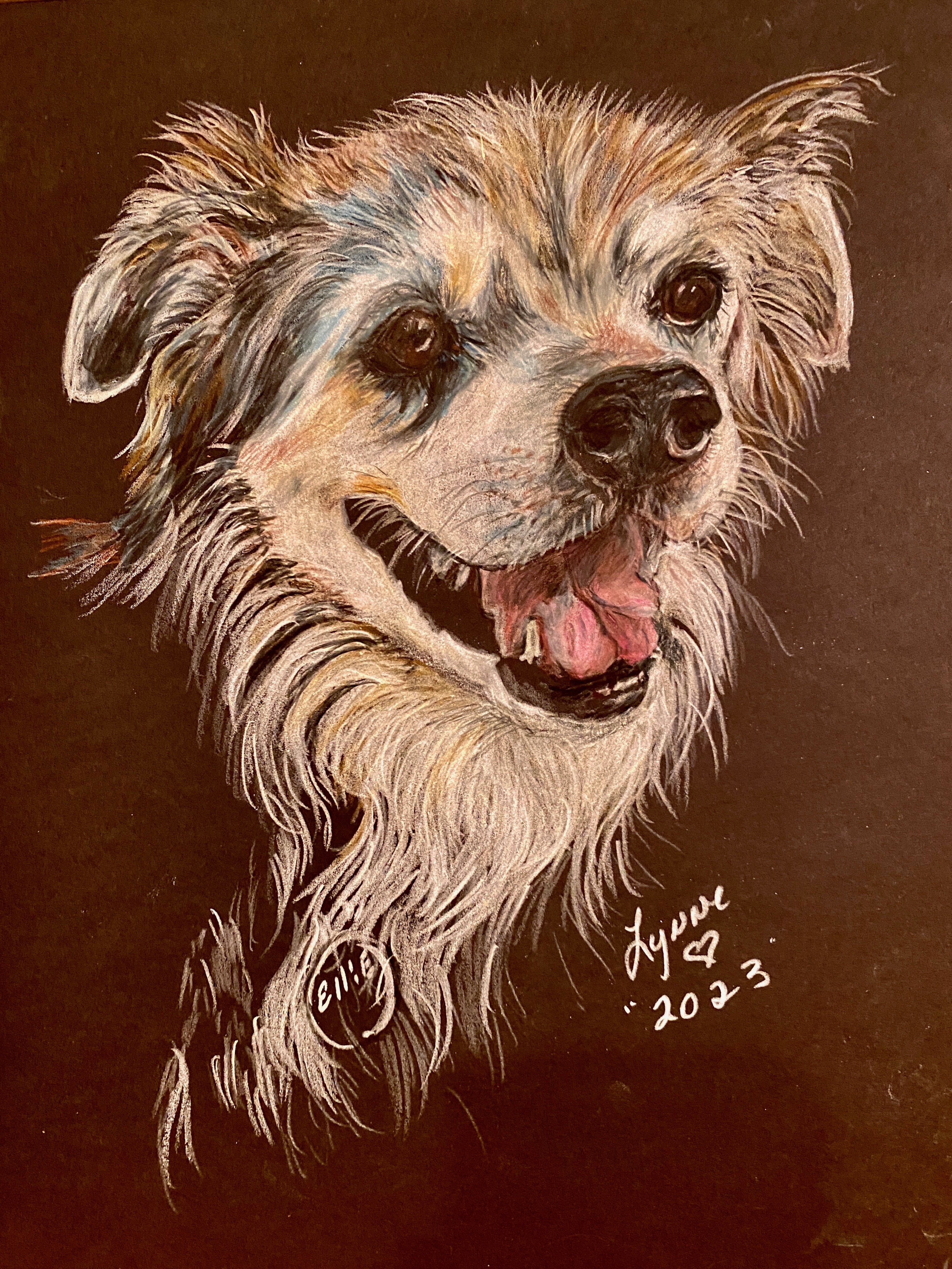 Pet portrait 68