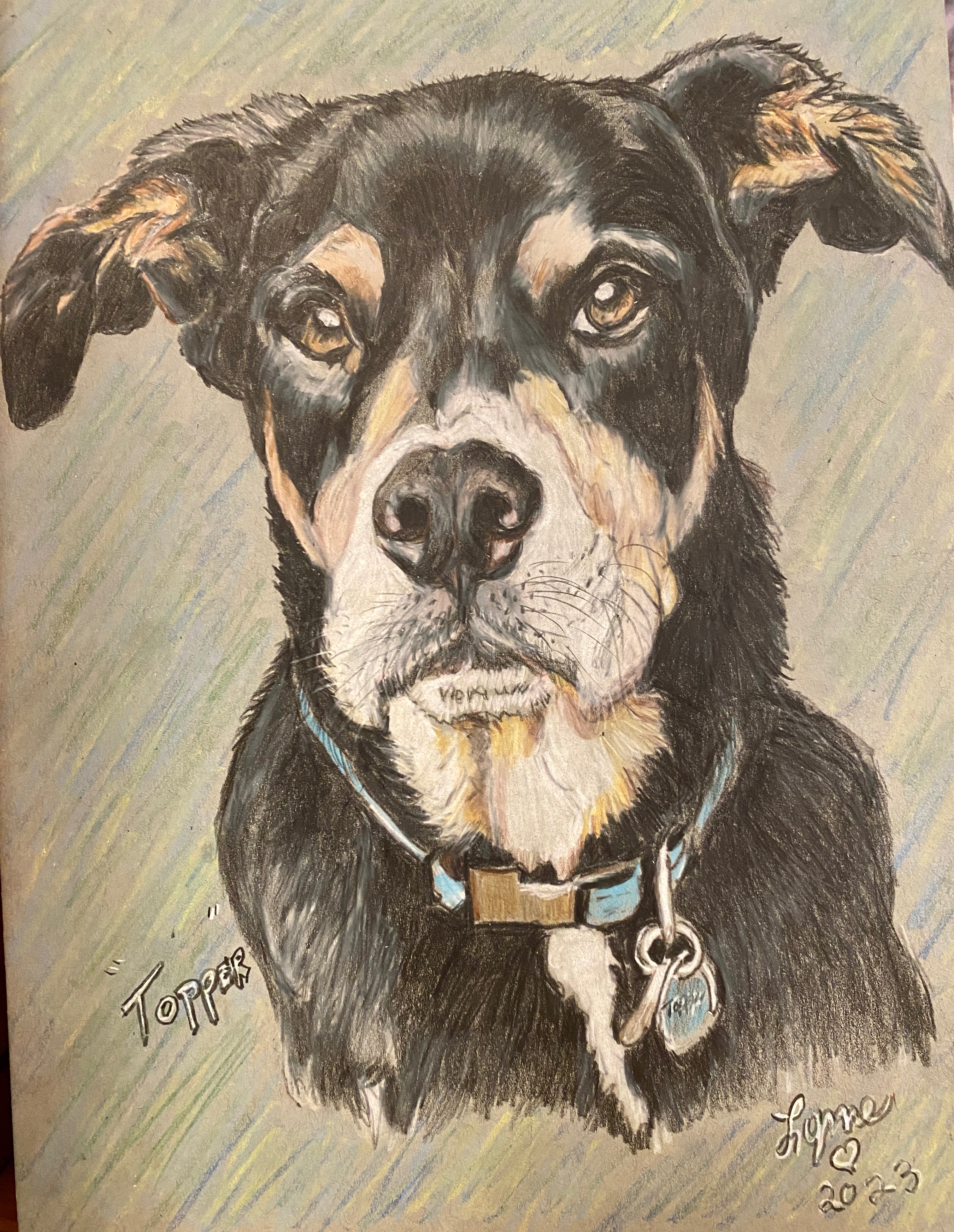 Pet portrait 69