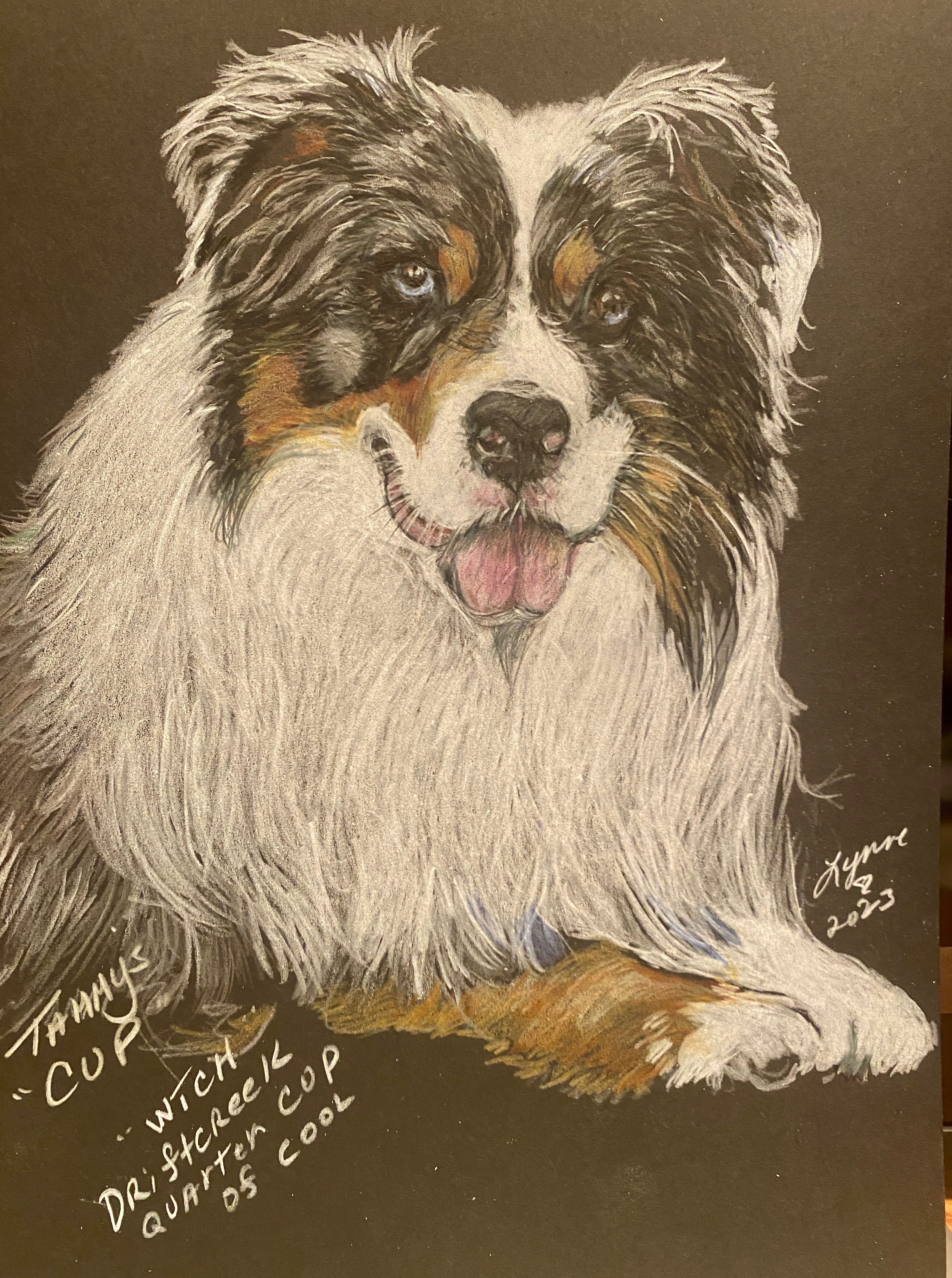 Pet portrait 70