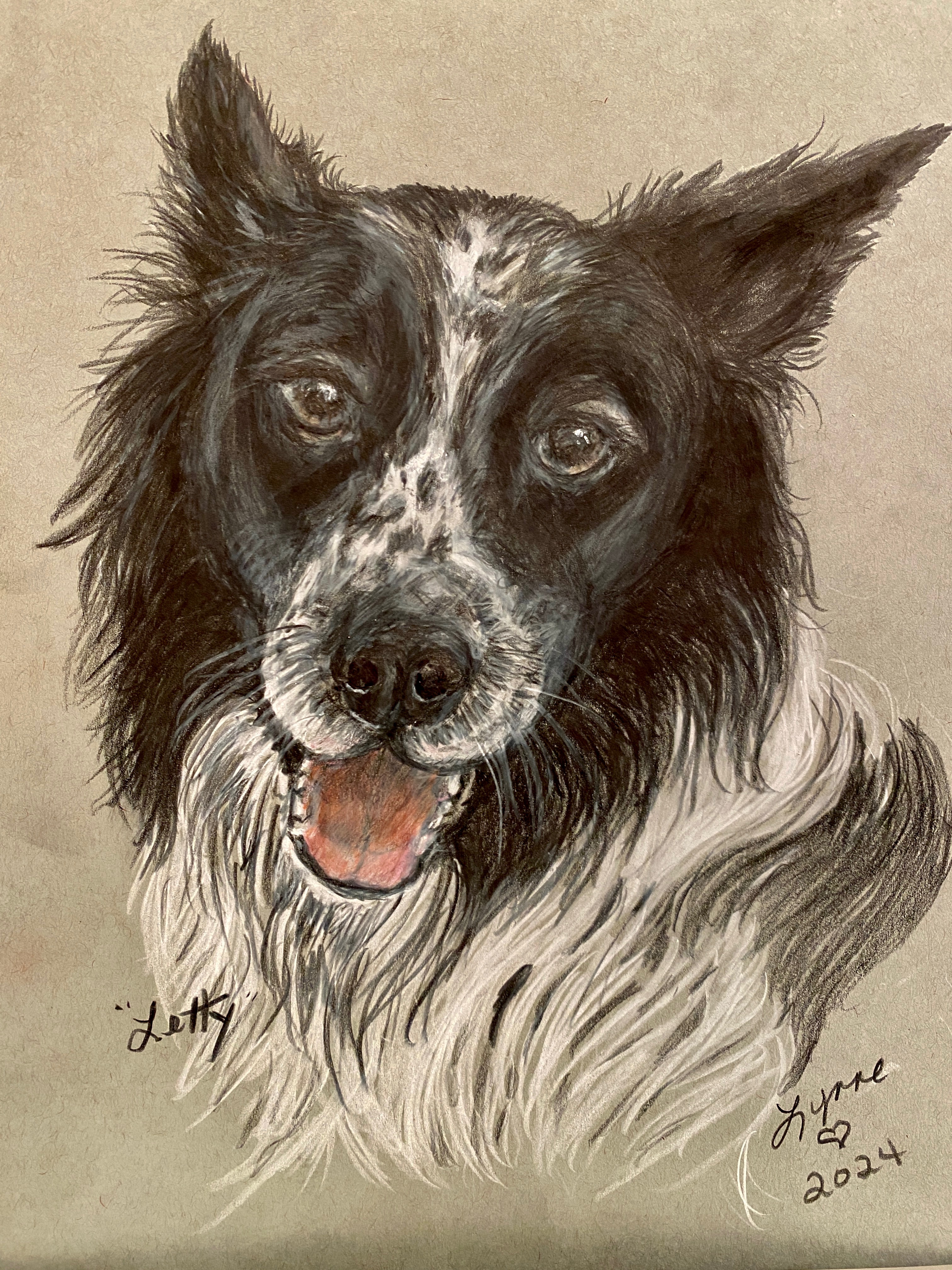 Pet portrait 72