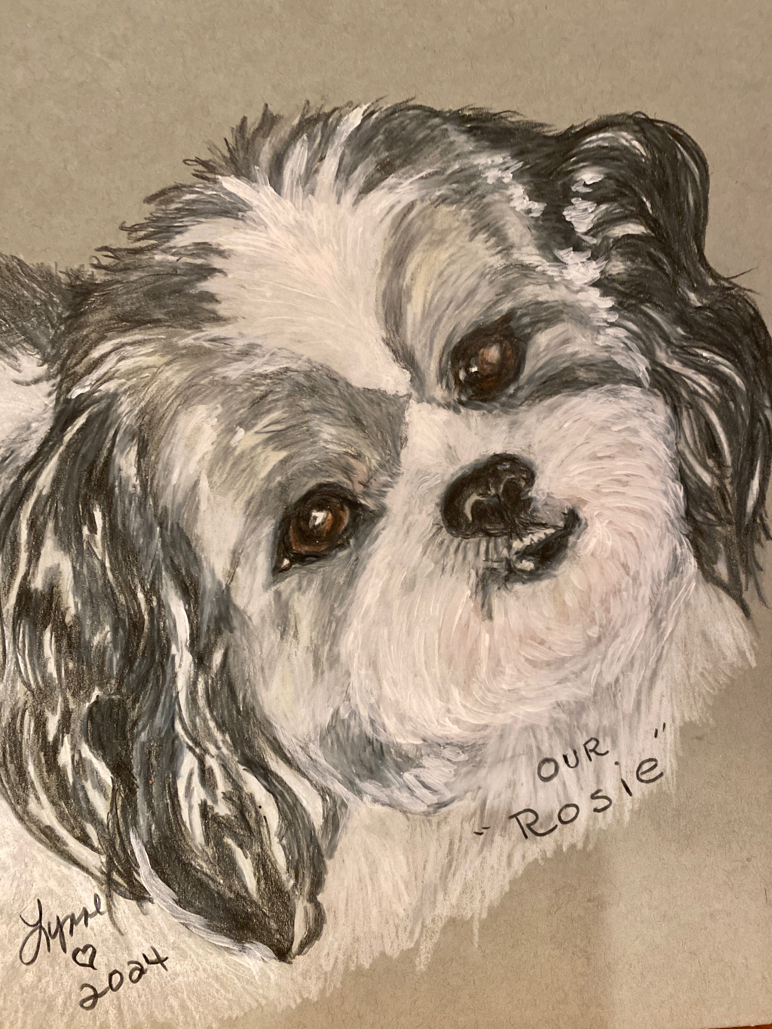 Pet portrait 73