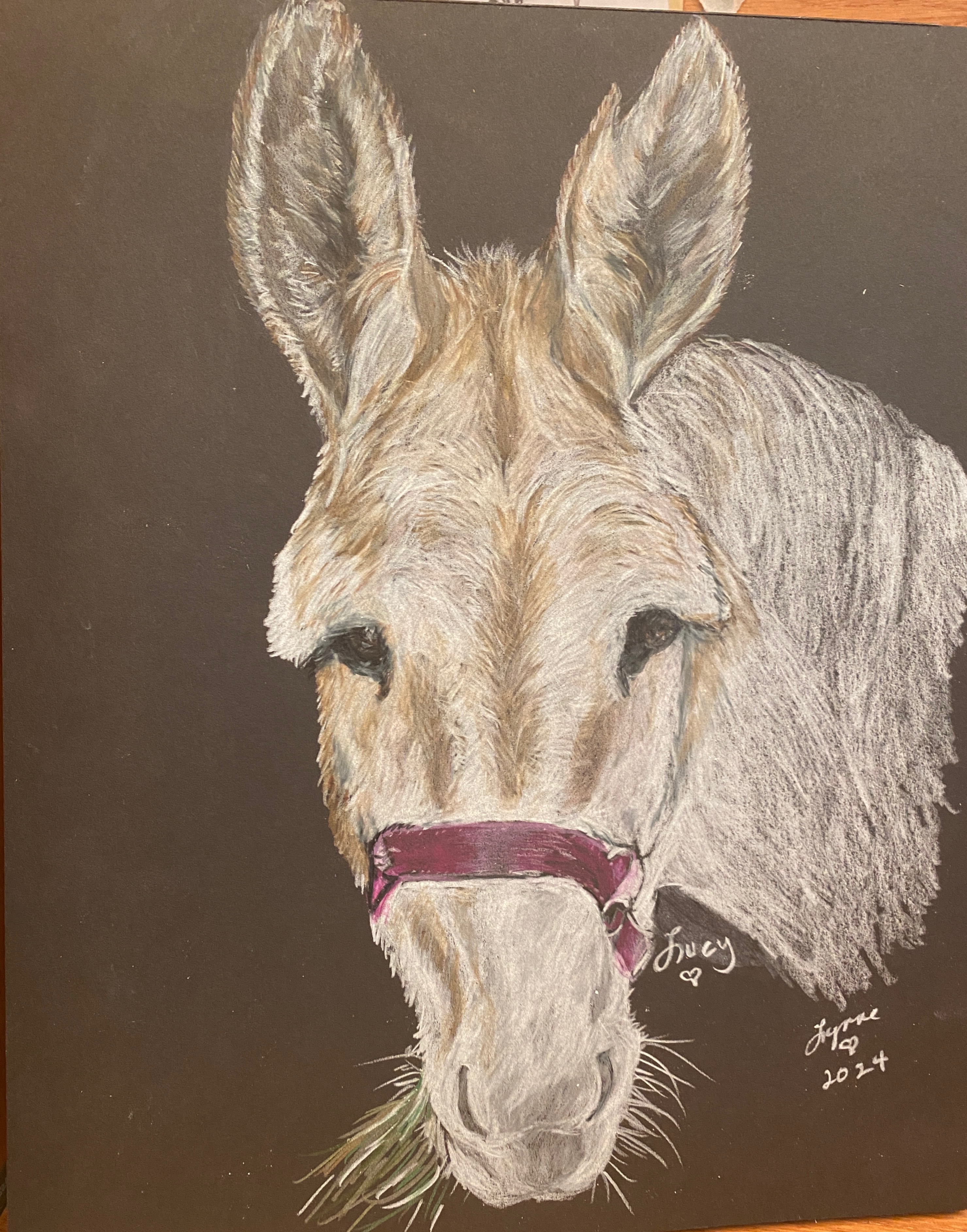 Pet portrait 74