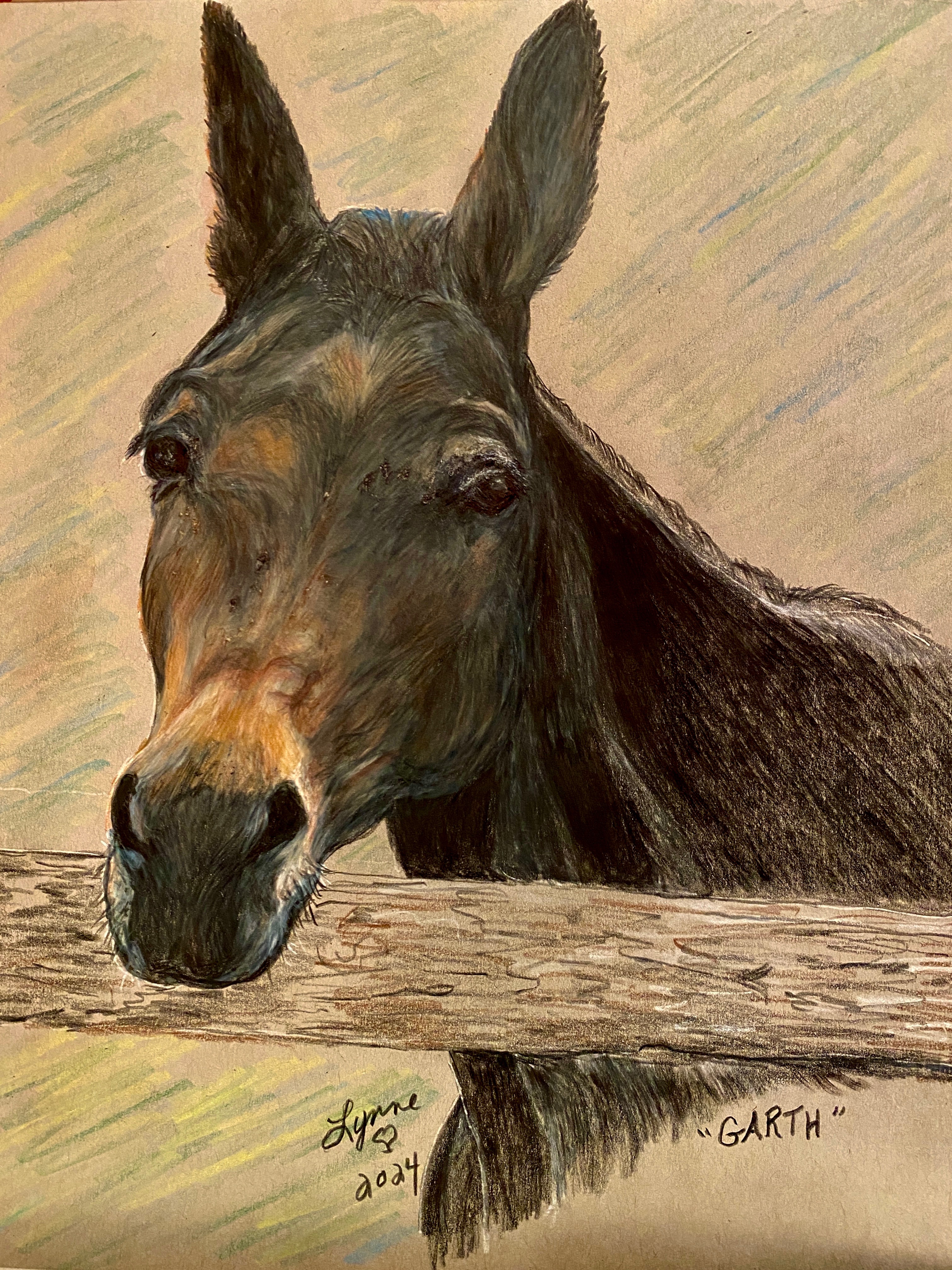 Pet portrait 75