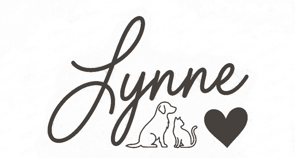 Lynne's Drawings
