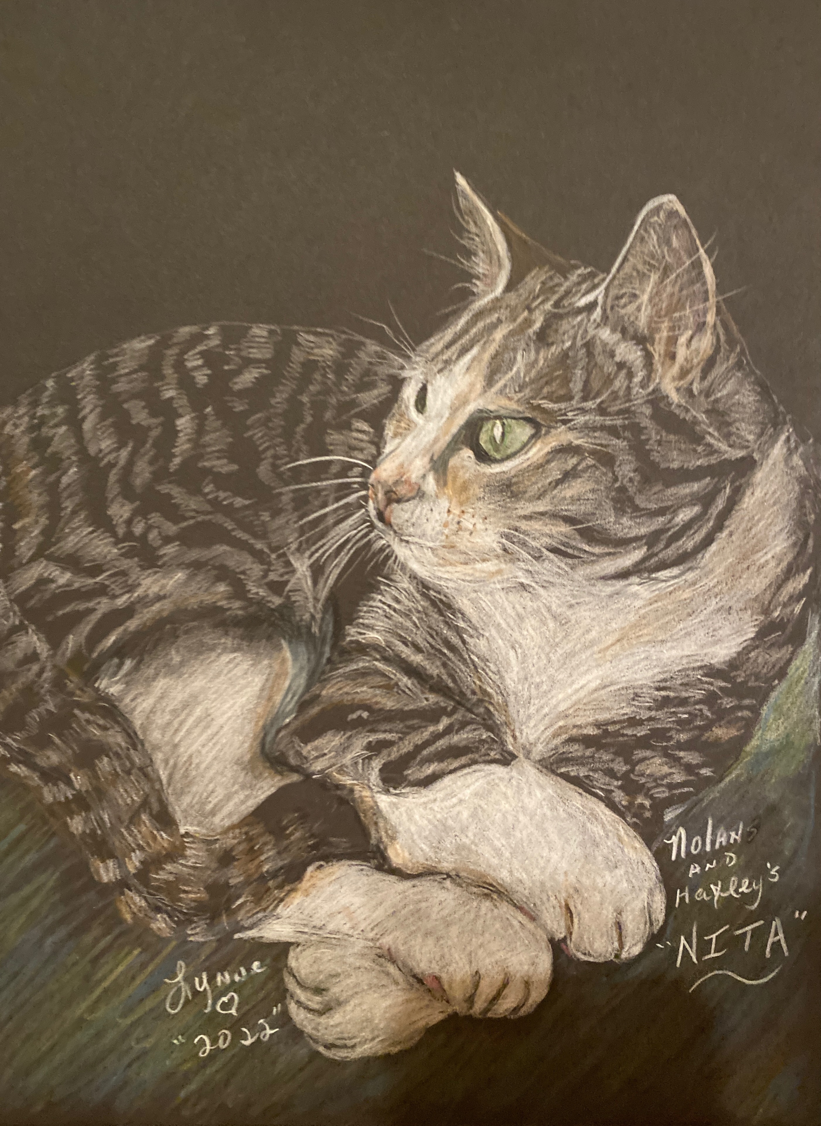 Pet portrait 3